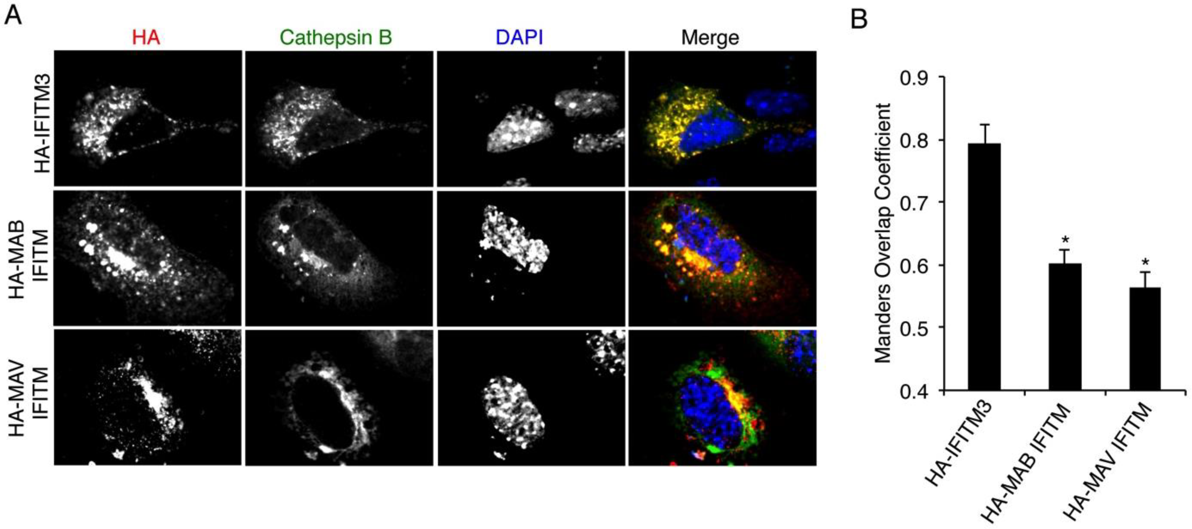Viruses 07 02759 g006