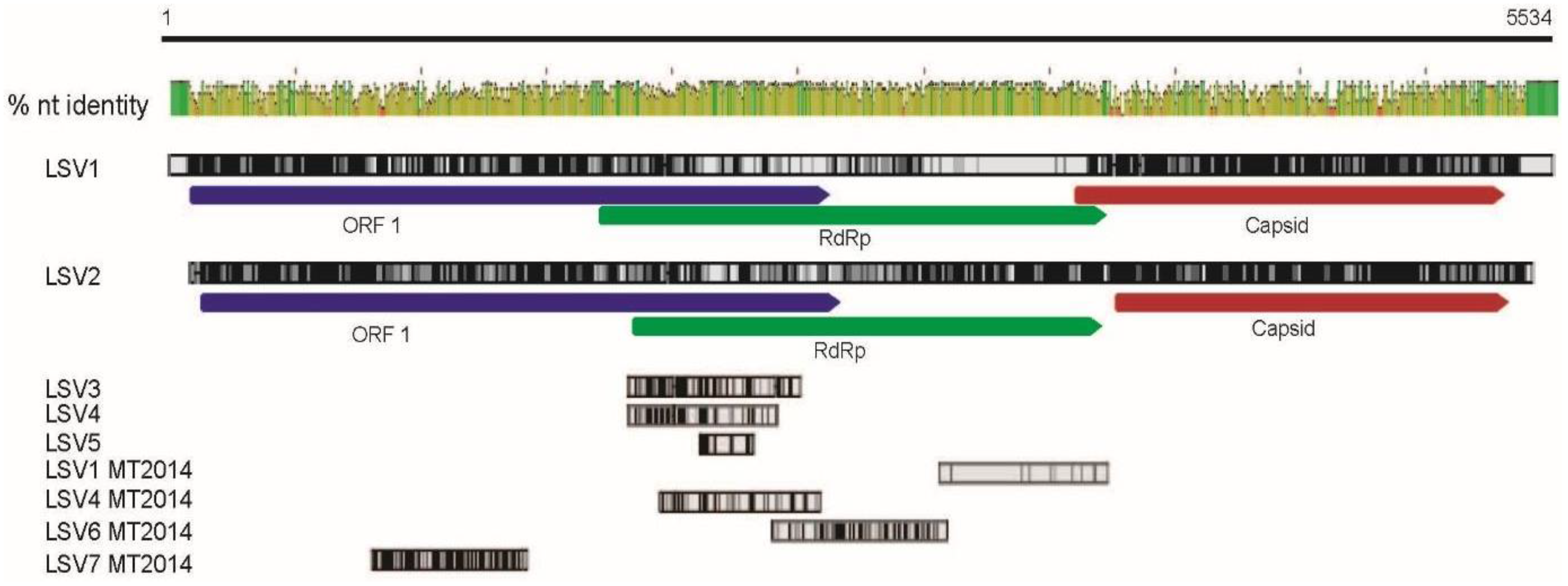 Viruses 07 02772 g002