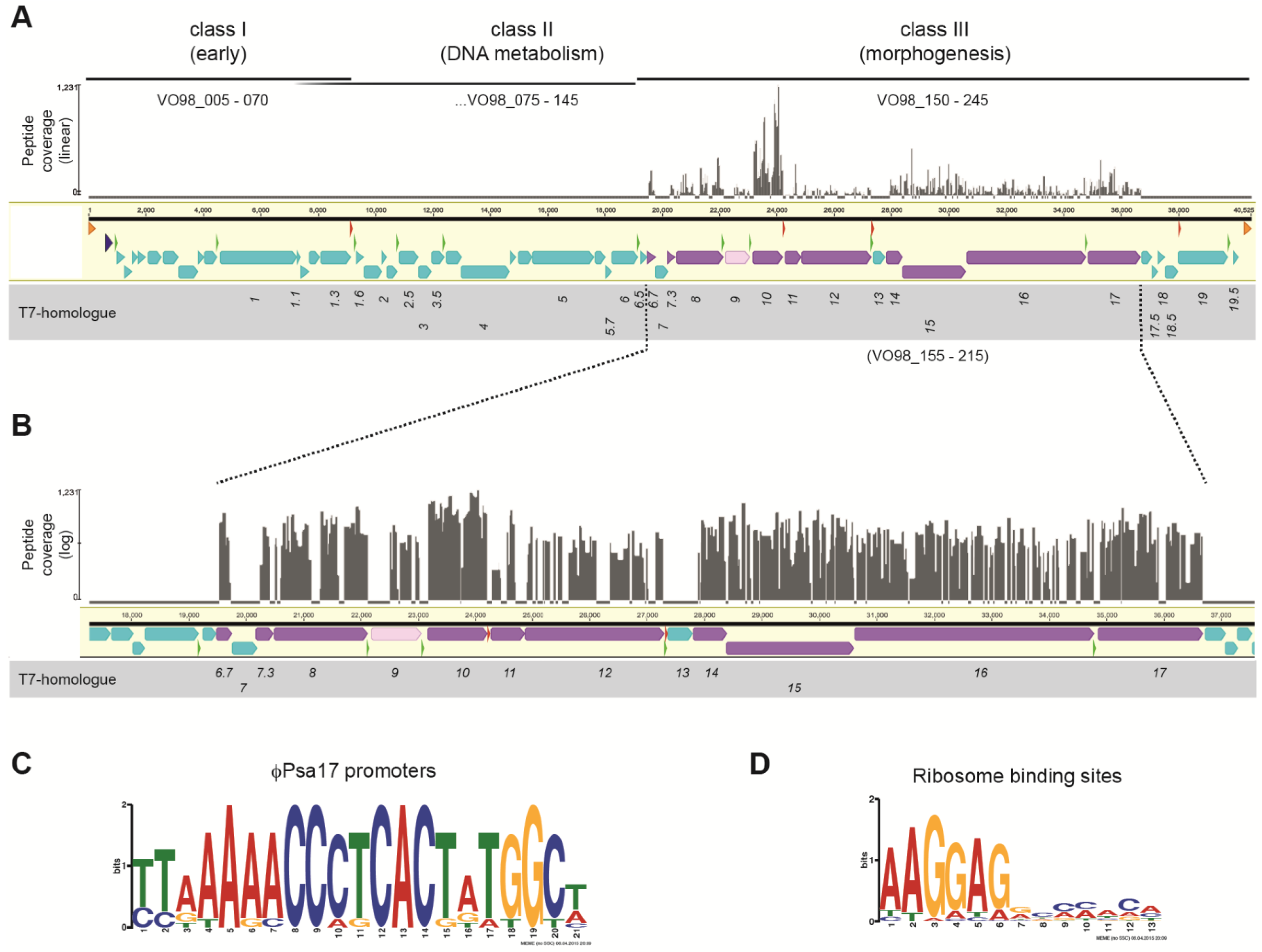 Viruses 07 02776 g002