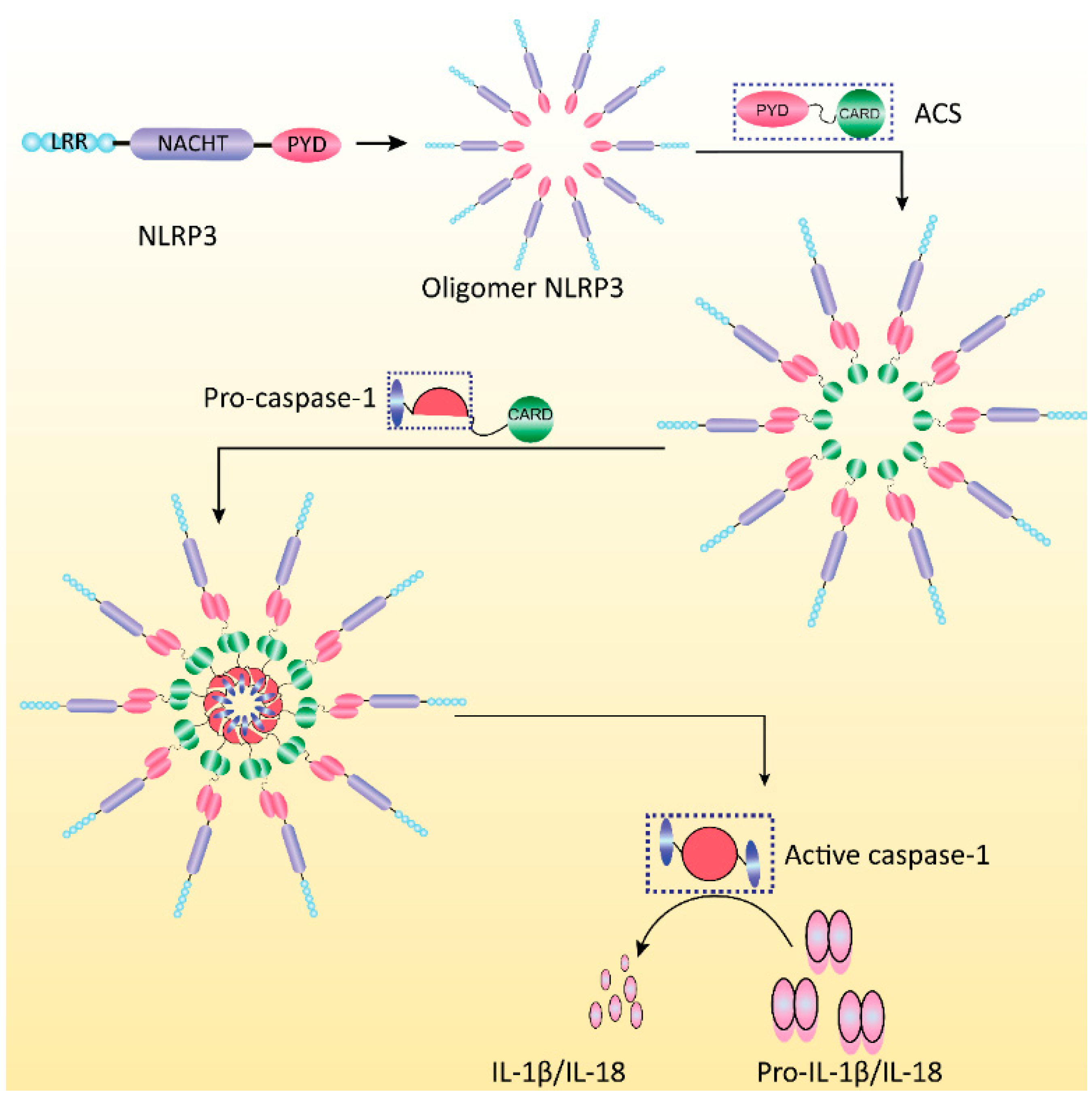 Viruses 07 02777 g001