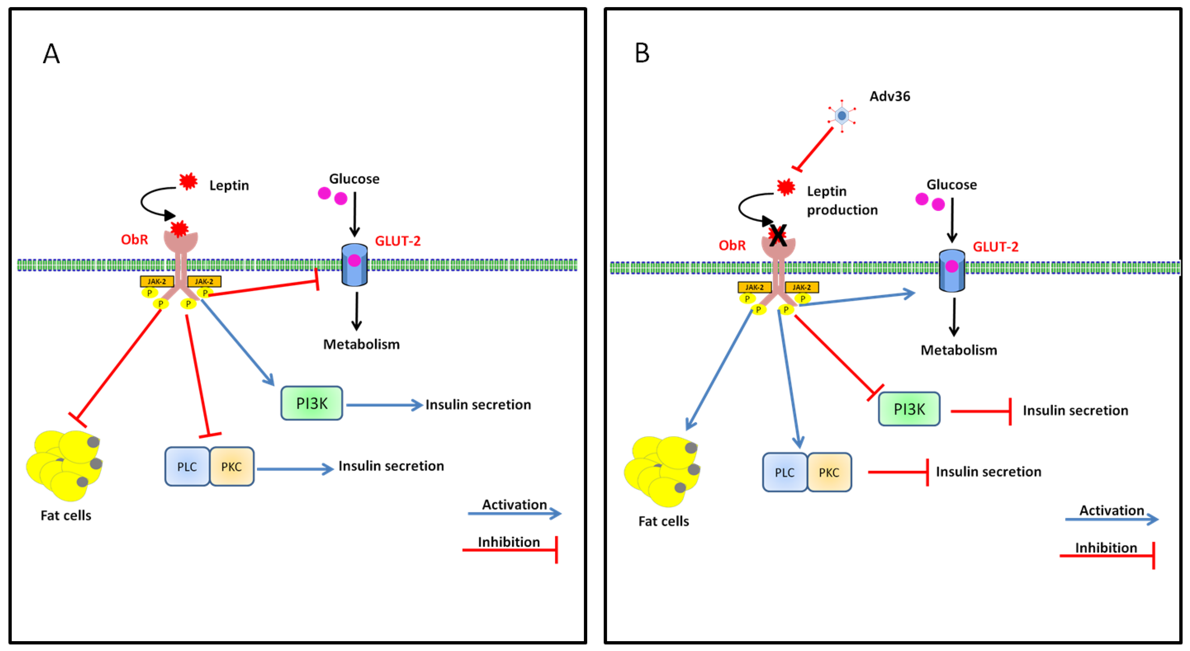 Viruses 07 02787 g003