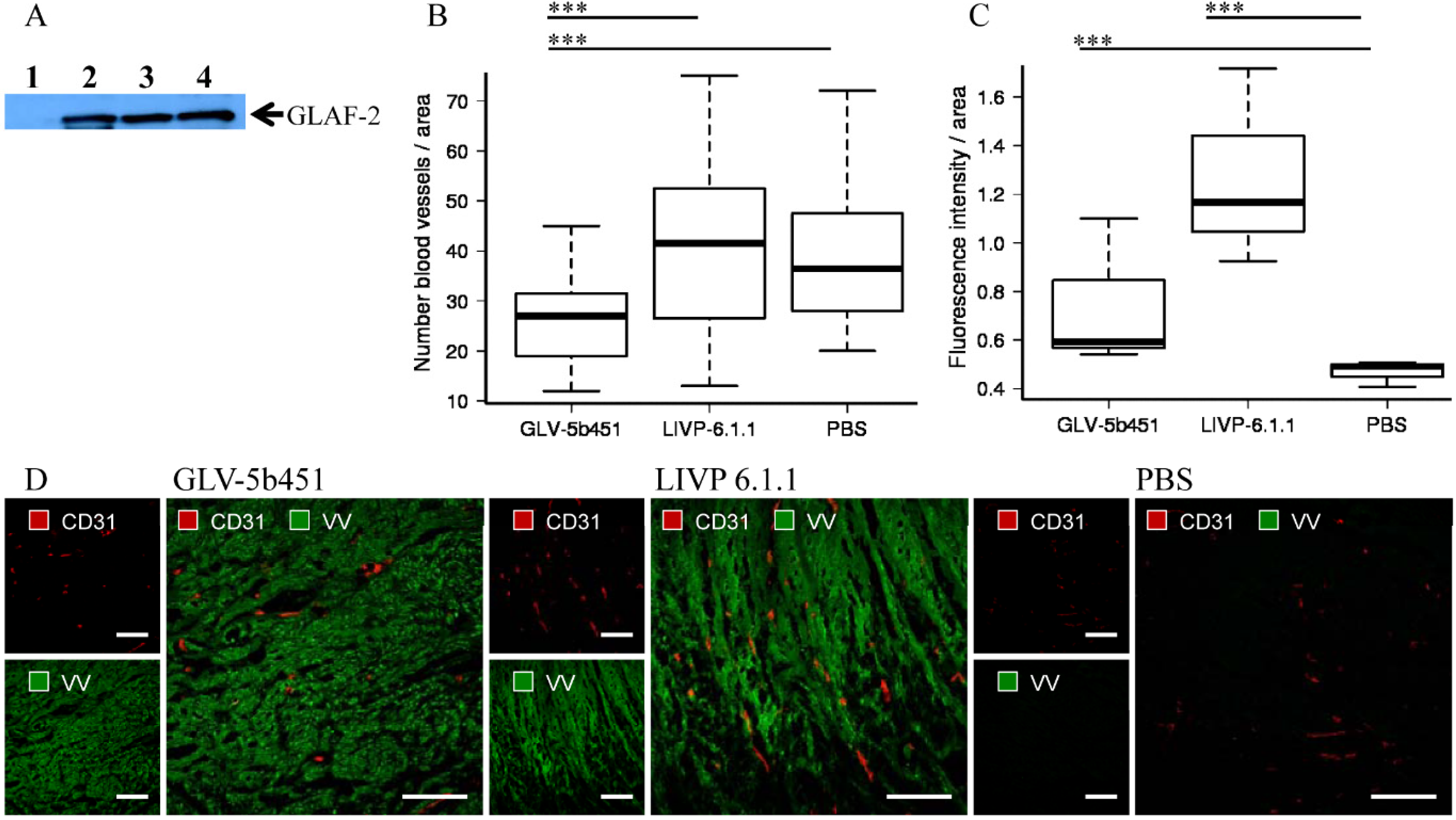 Viruses 07 02811 g007 1024