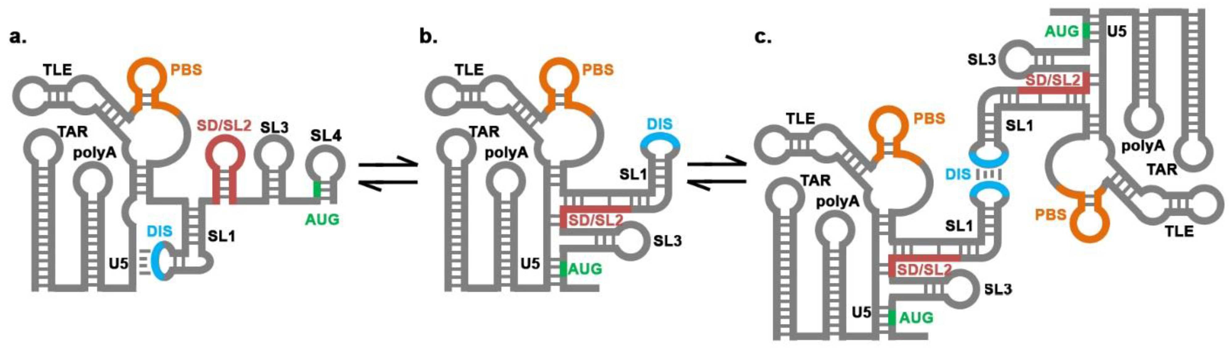 Viruses 07 02846 g001