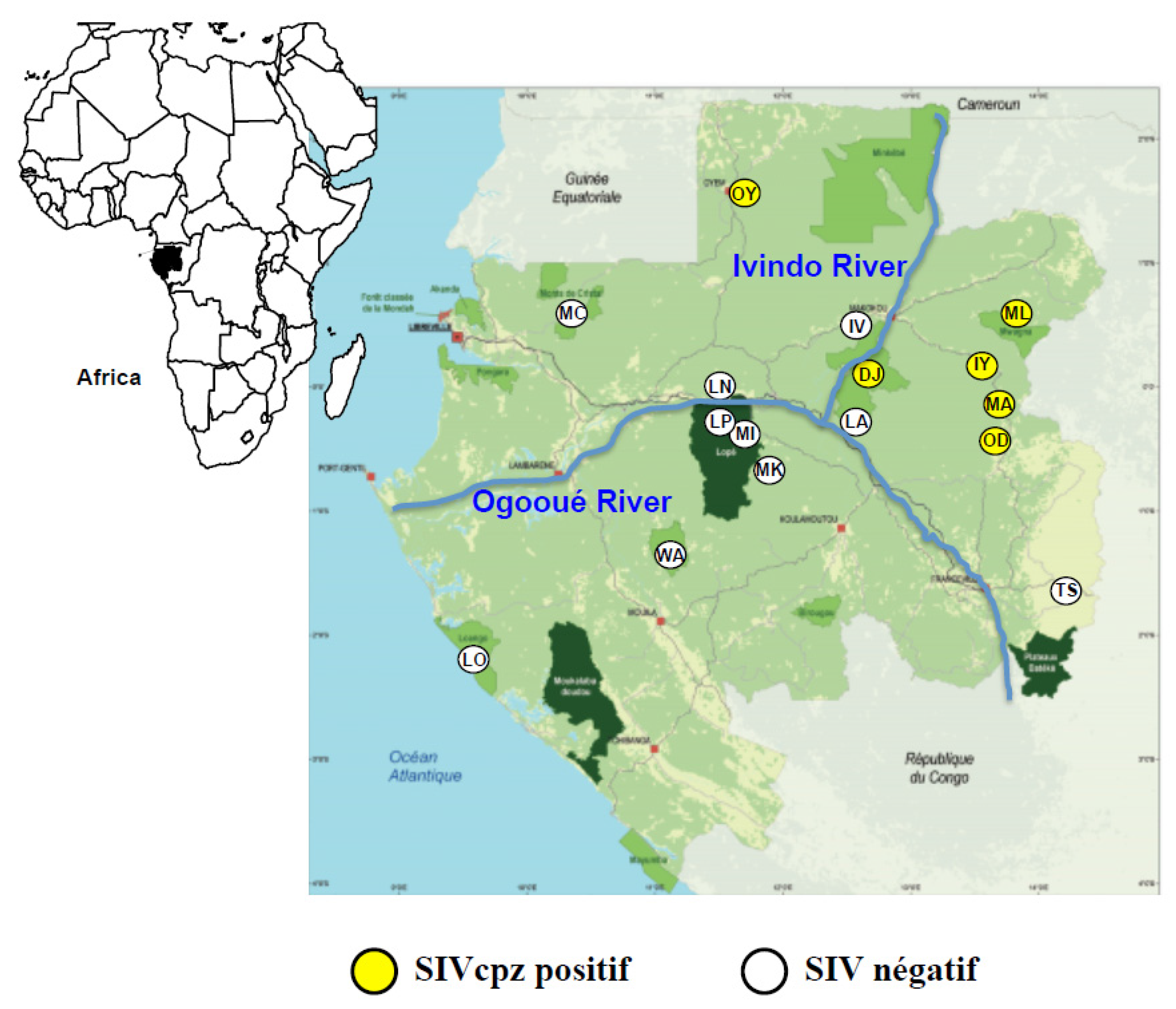 Viruses 07 02855 g001