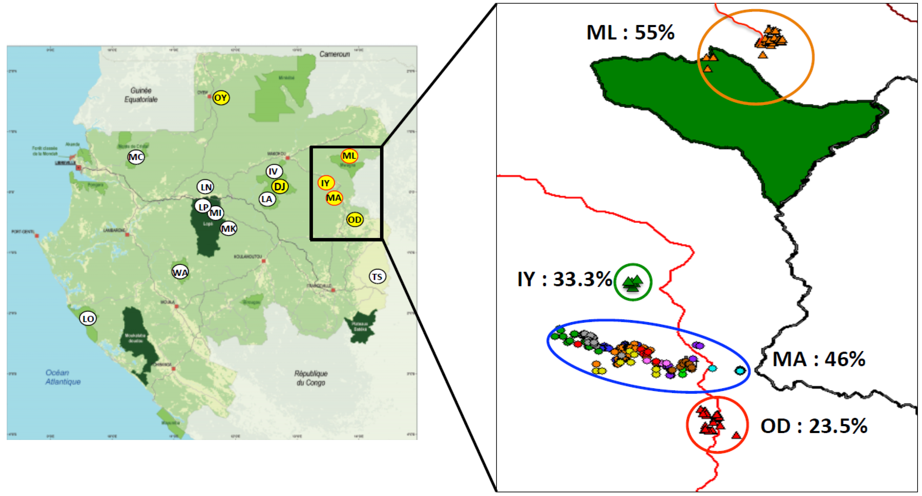 Viruses 07 02855 g003
