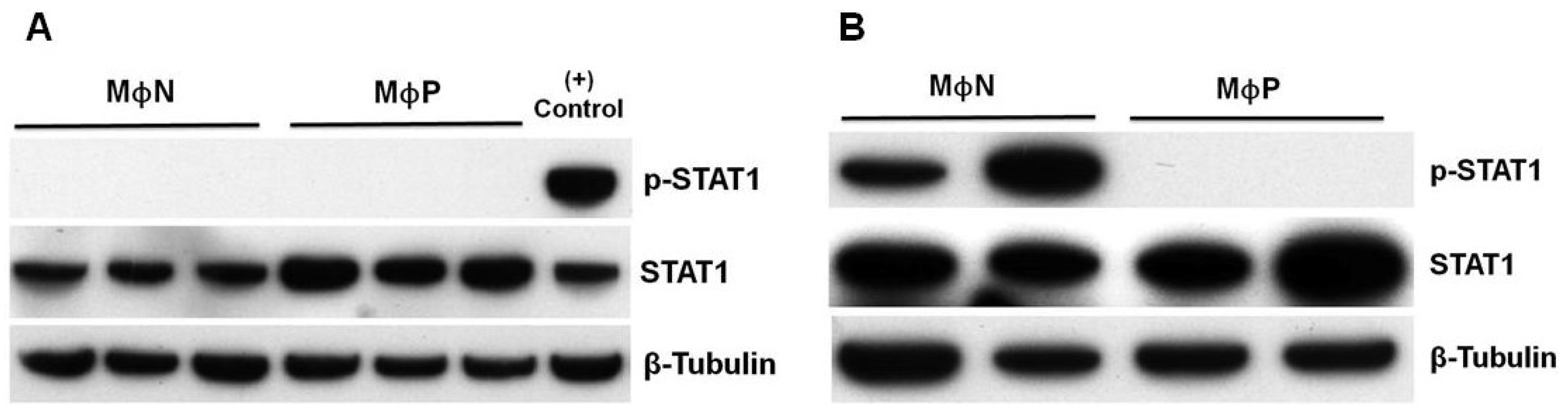 Viruses 07 02879 g004 1024