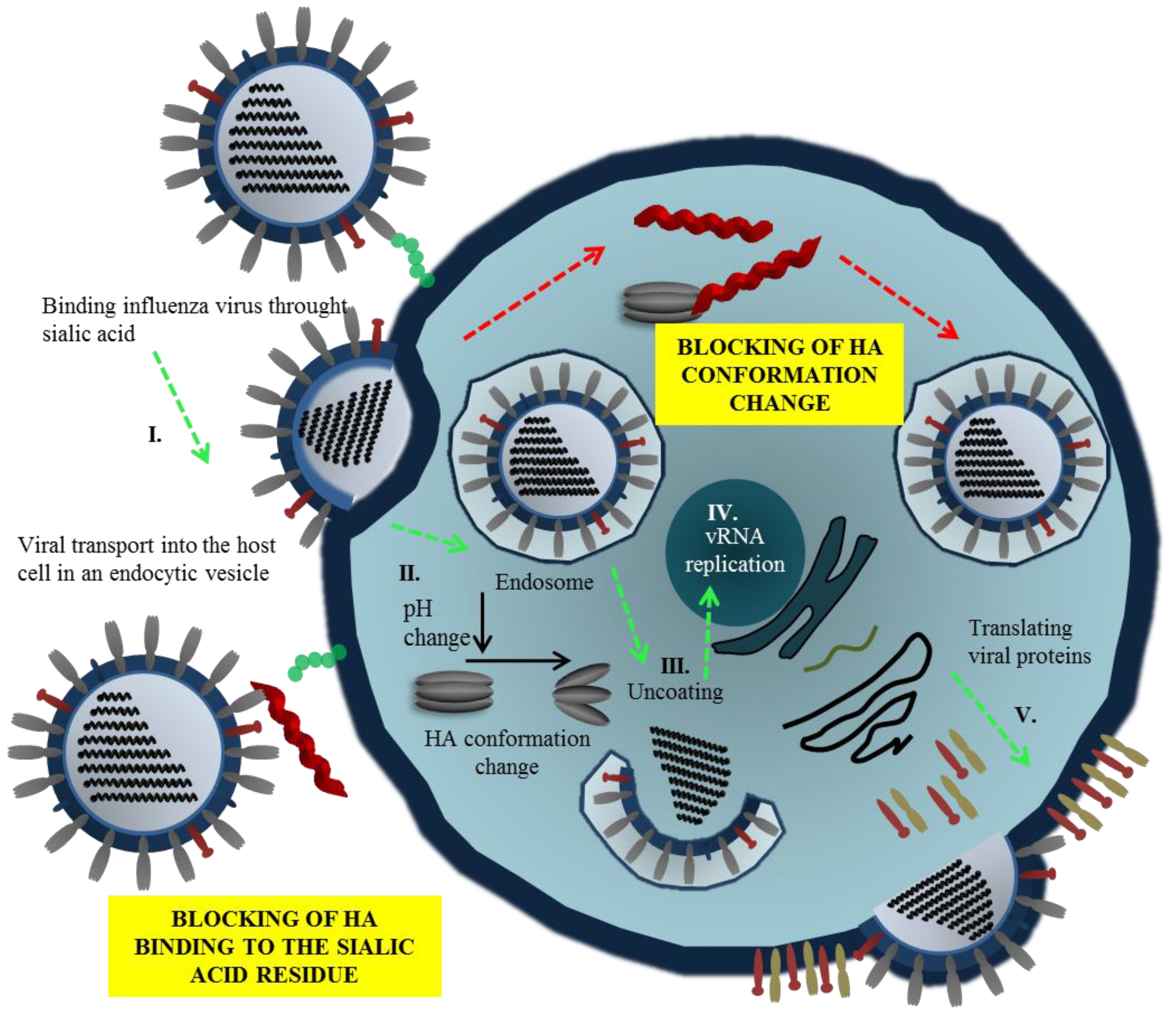 Complete virus. Вирус. Influenza virus. Распространение вируса картинка. Type a influenza virus.