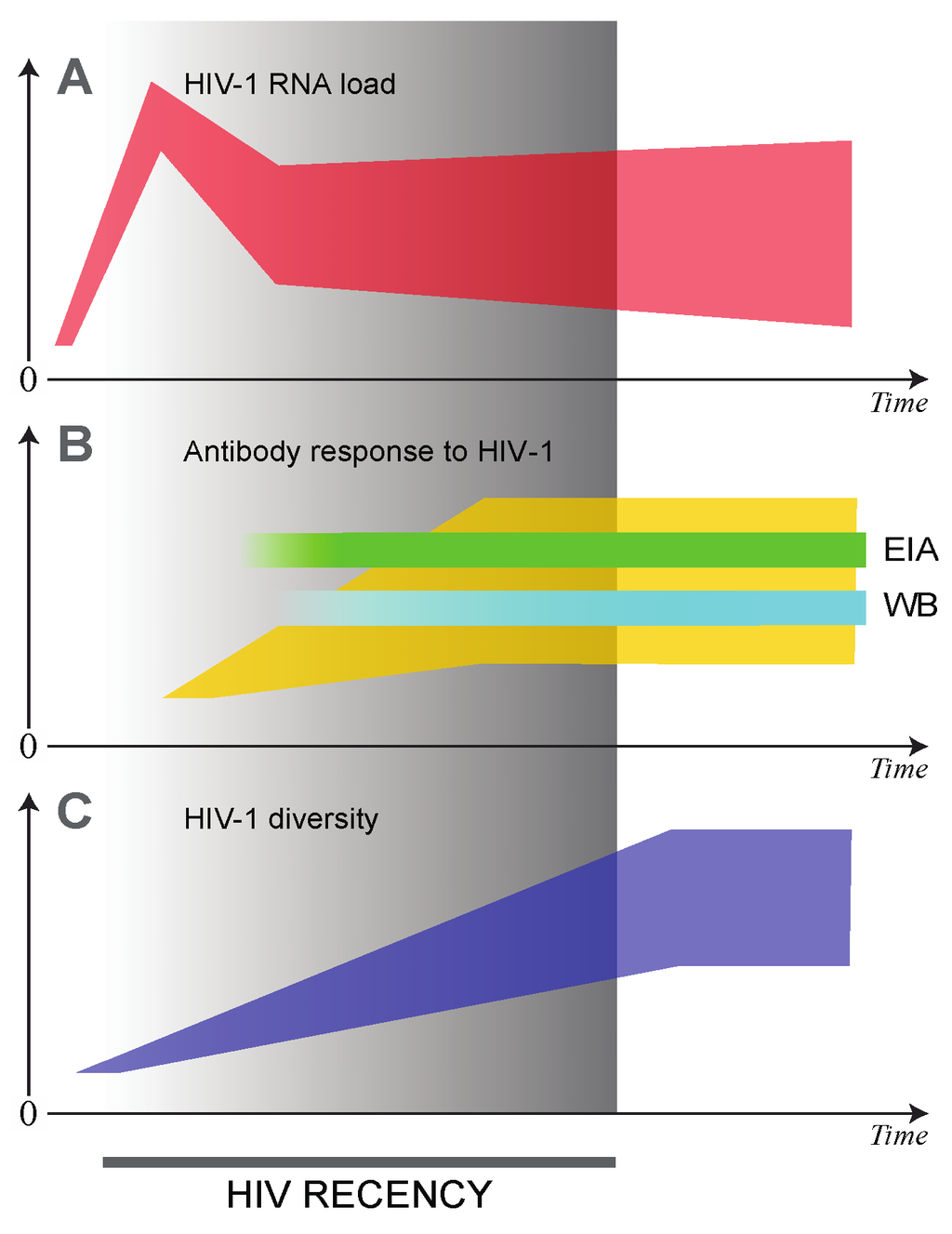 Phylogenetic Approach Reveals That Virus Genotype Largely Determines HIV  Set-Point Viral Load