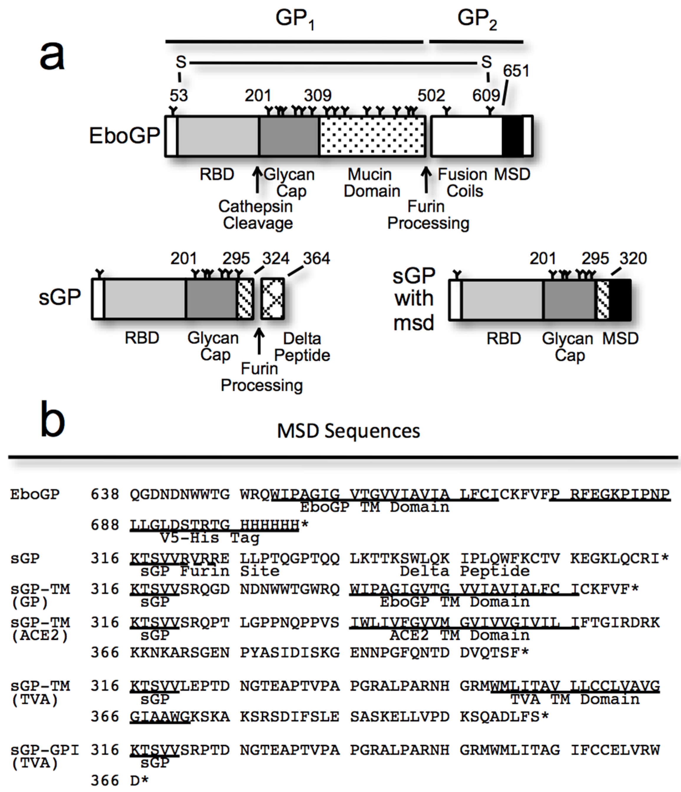 Viruses 07 02888 g001a