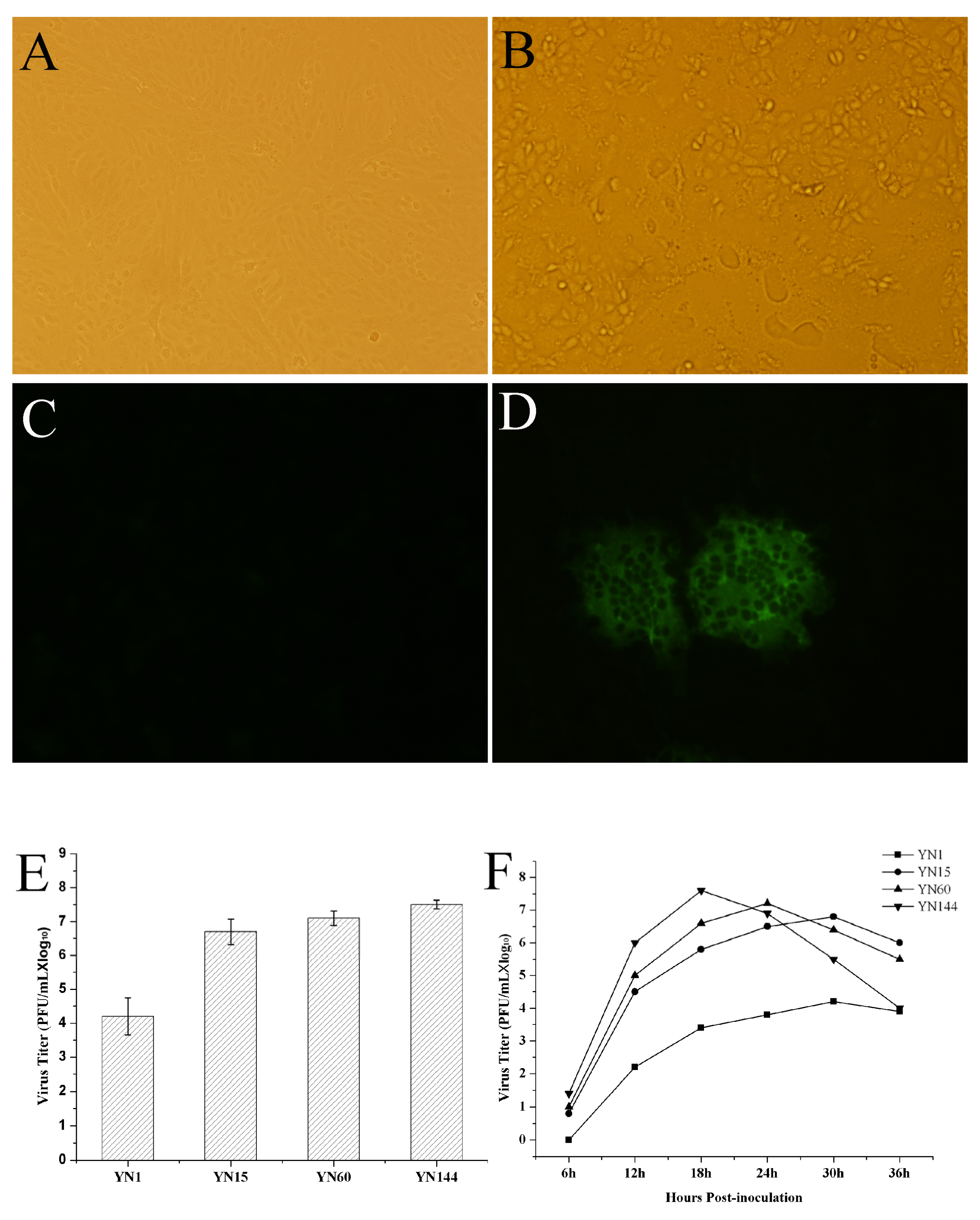 Viruses 07 02891 g001
