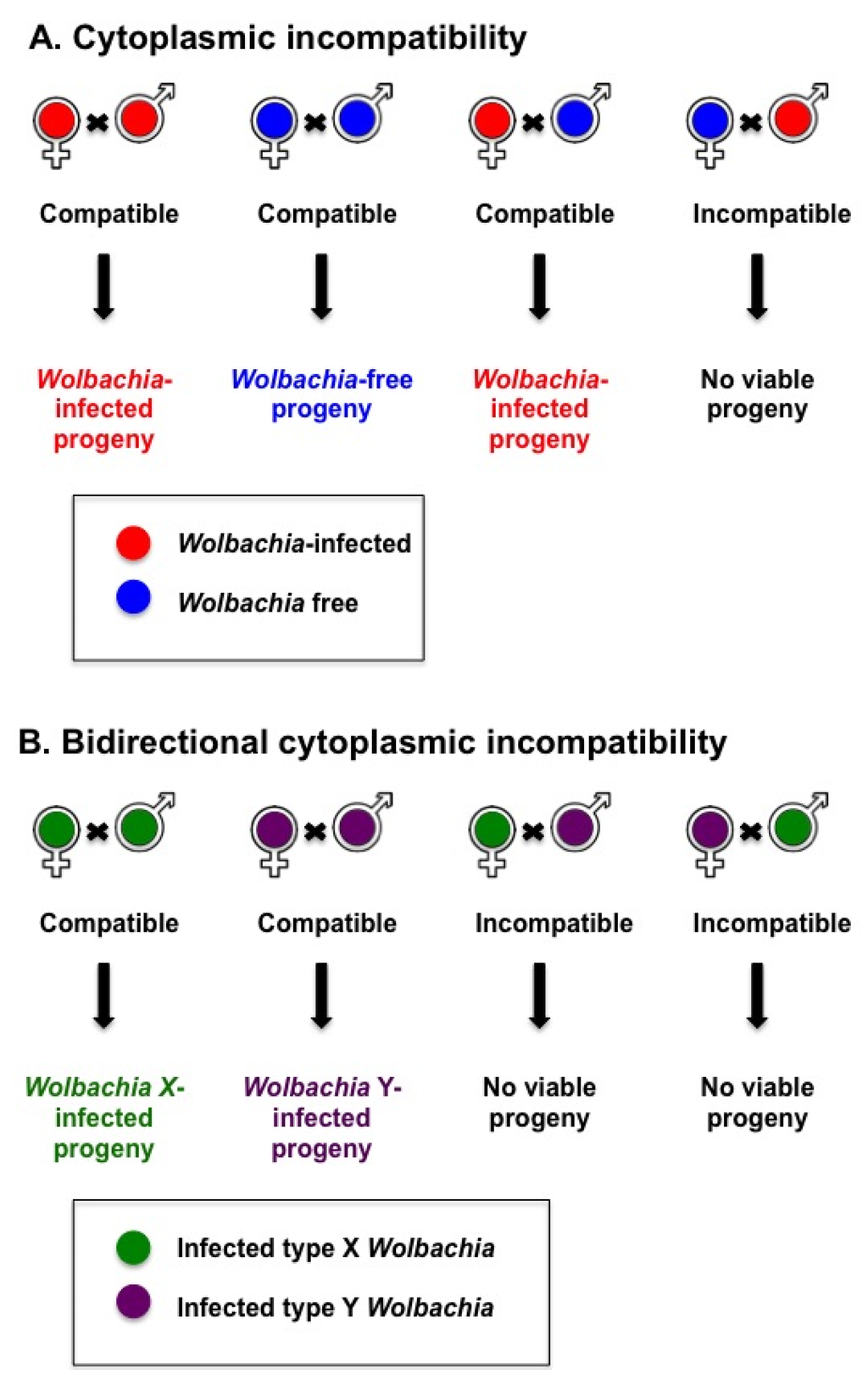 Viruses 07 02903 g001 1024
