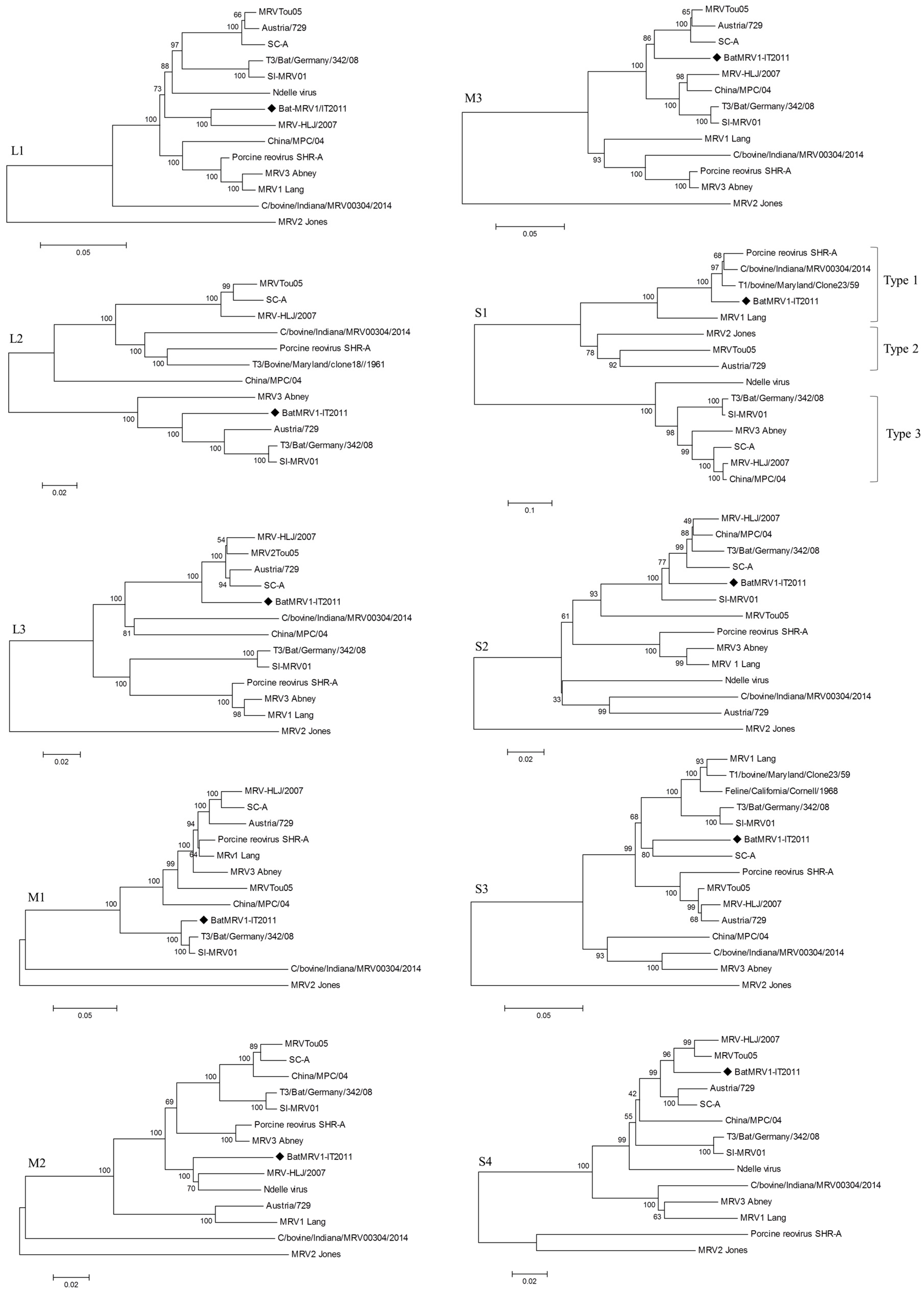 Viruses 07 02908 g002 1024