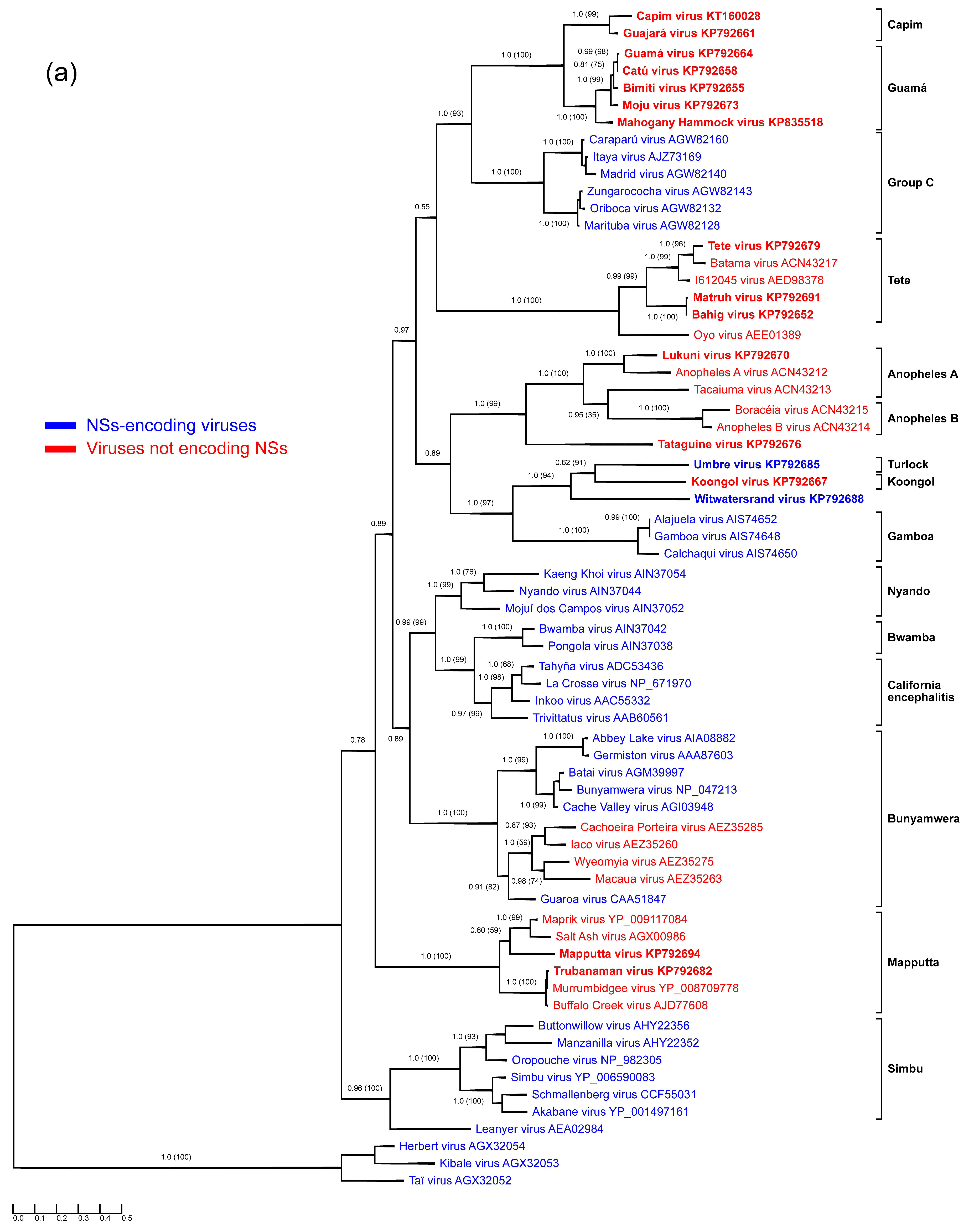 Viruses 07 02918 g001a 1024