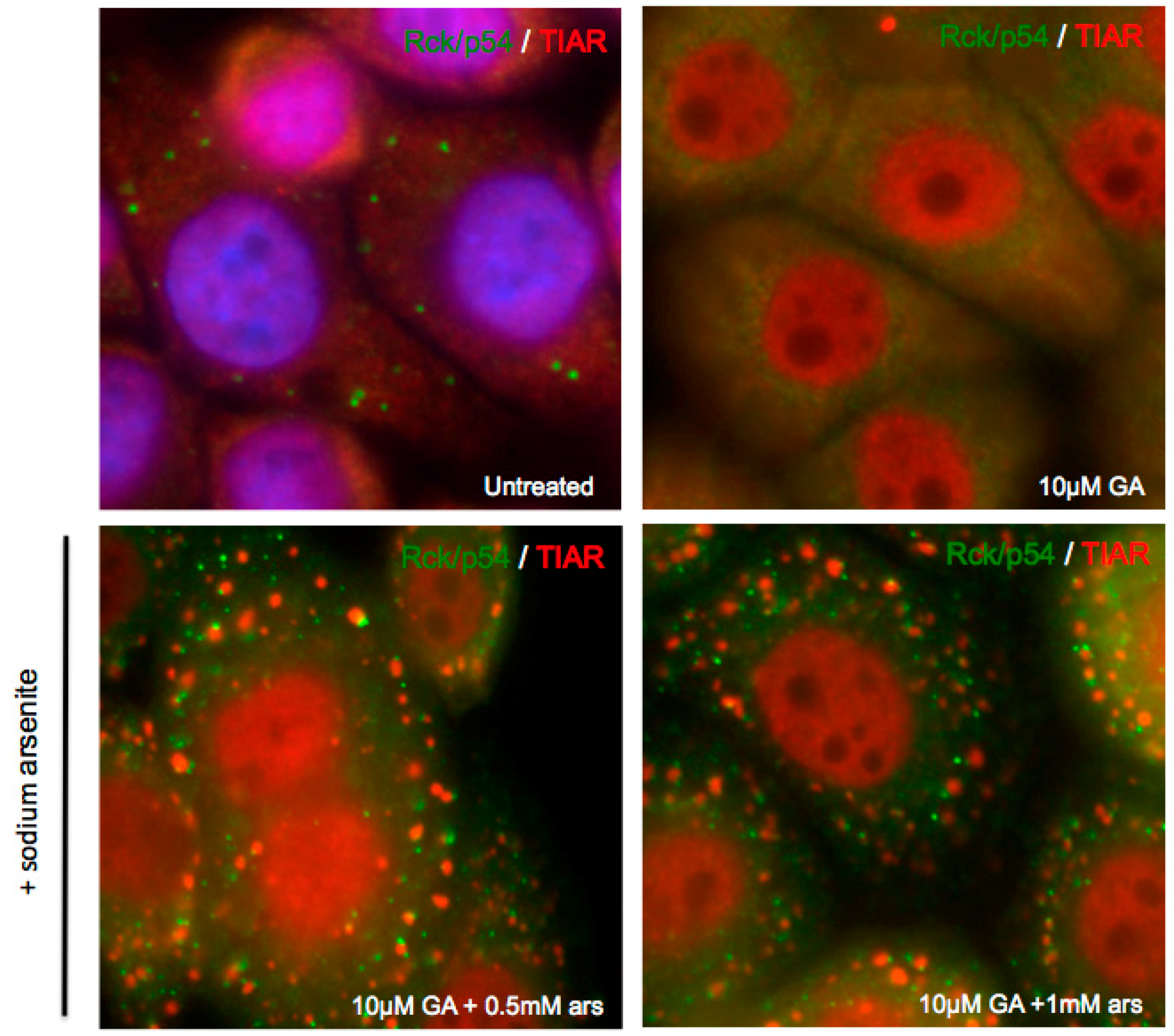 Viruses 07 02922 g005