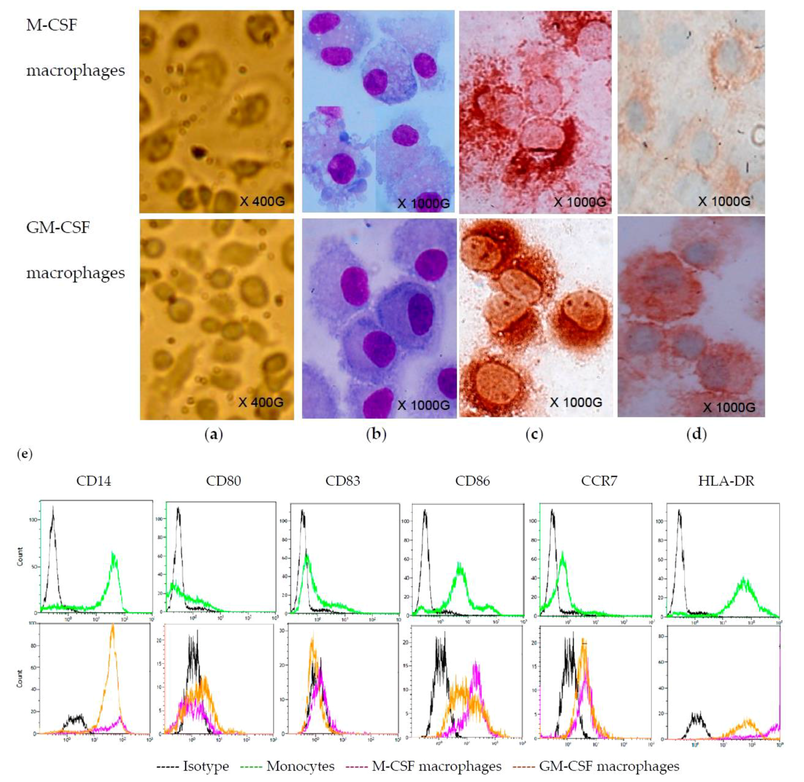Viruses 07 02924 g001 1024