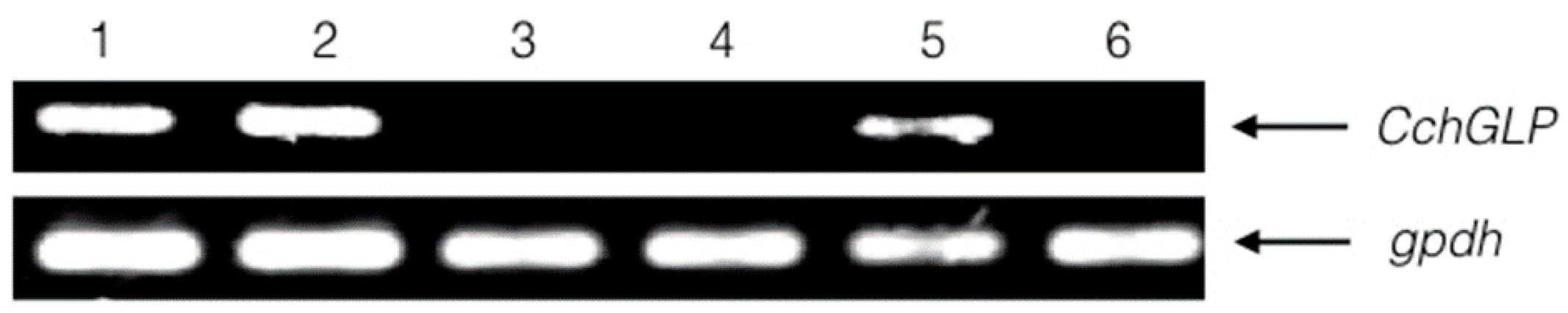 Viruses 07 02930 g005
