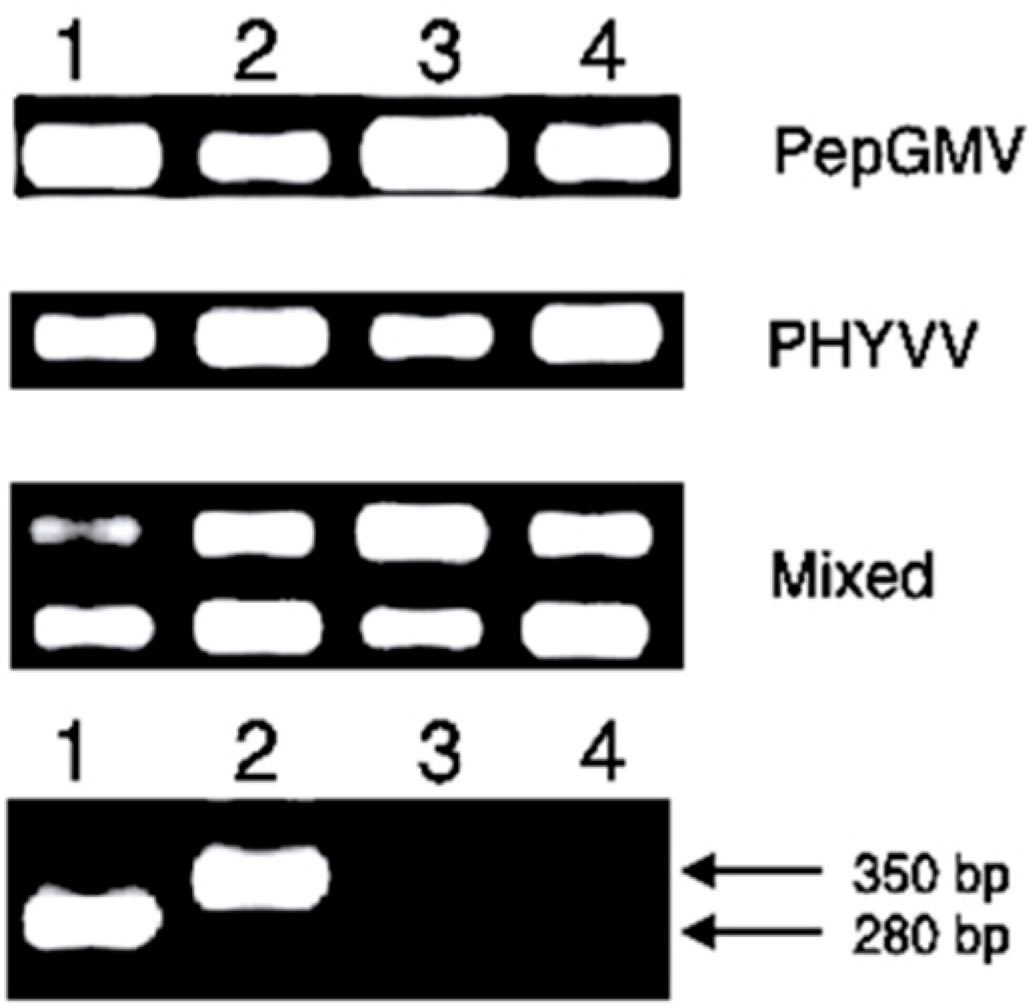 Viruses 07 02930 g006
