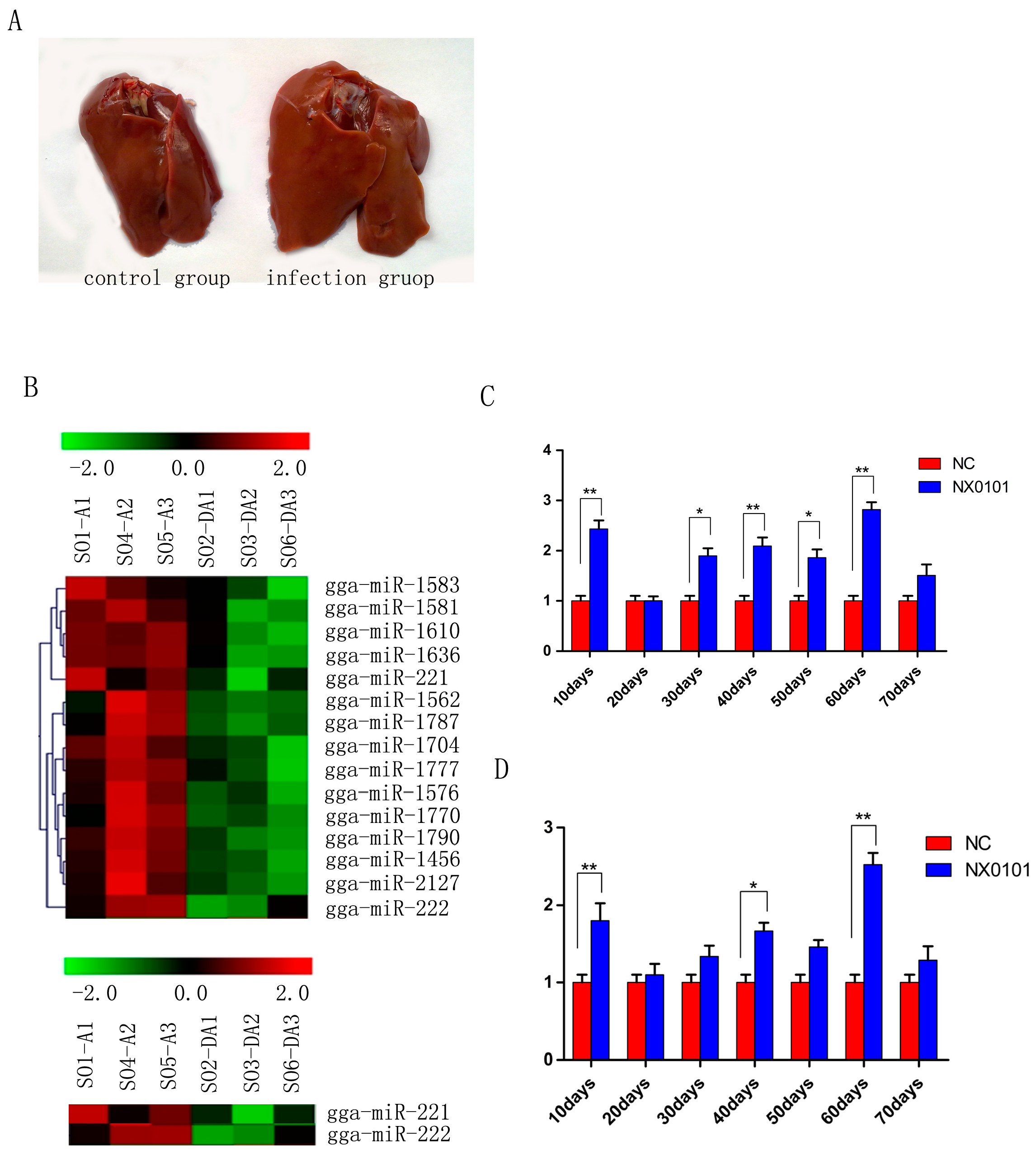 Viruses 07 02956 g001 1024