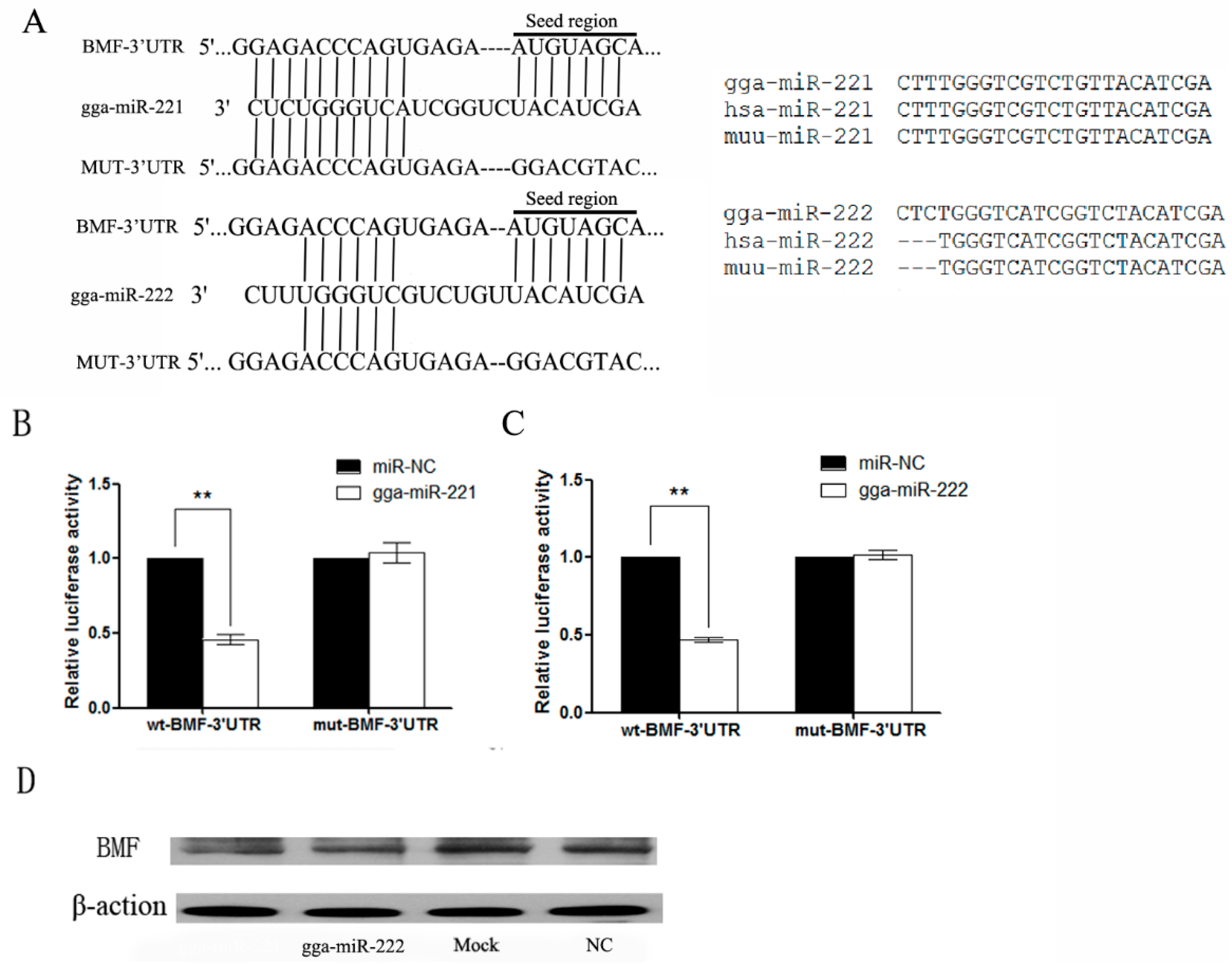 Viruses 07 02956 g004 1024