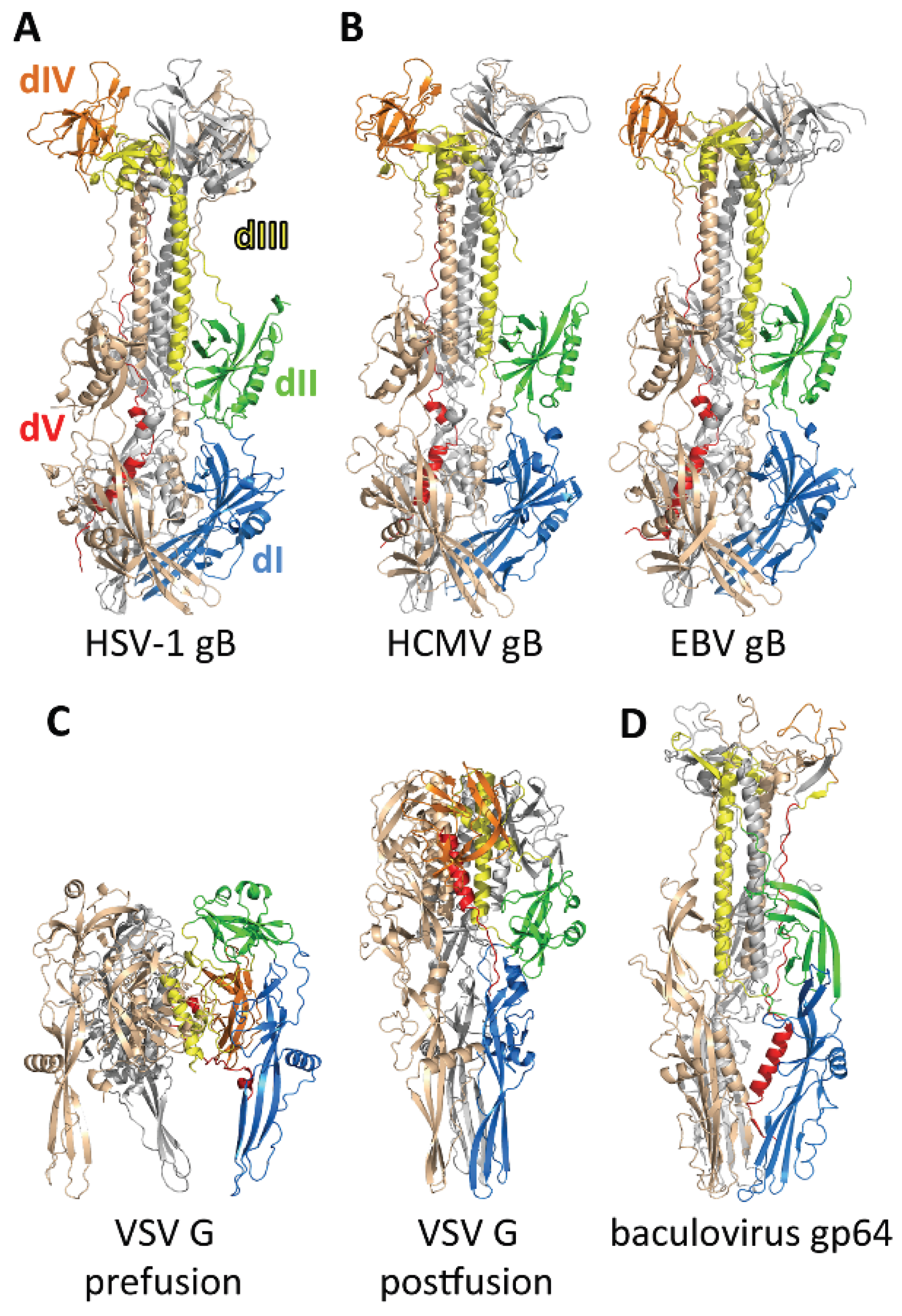 Viruses 07 02957 g005