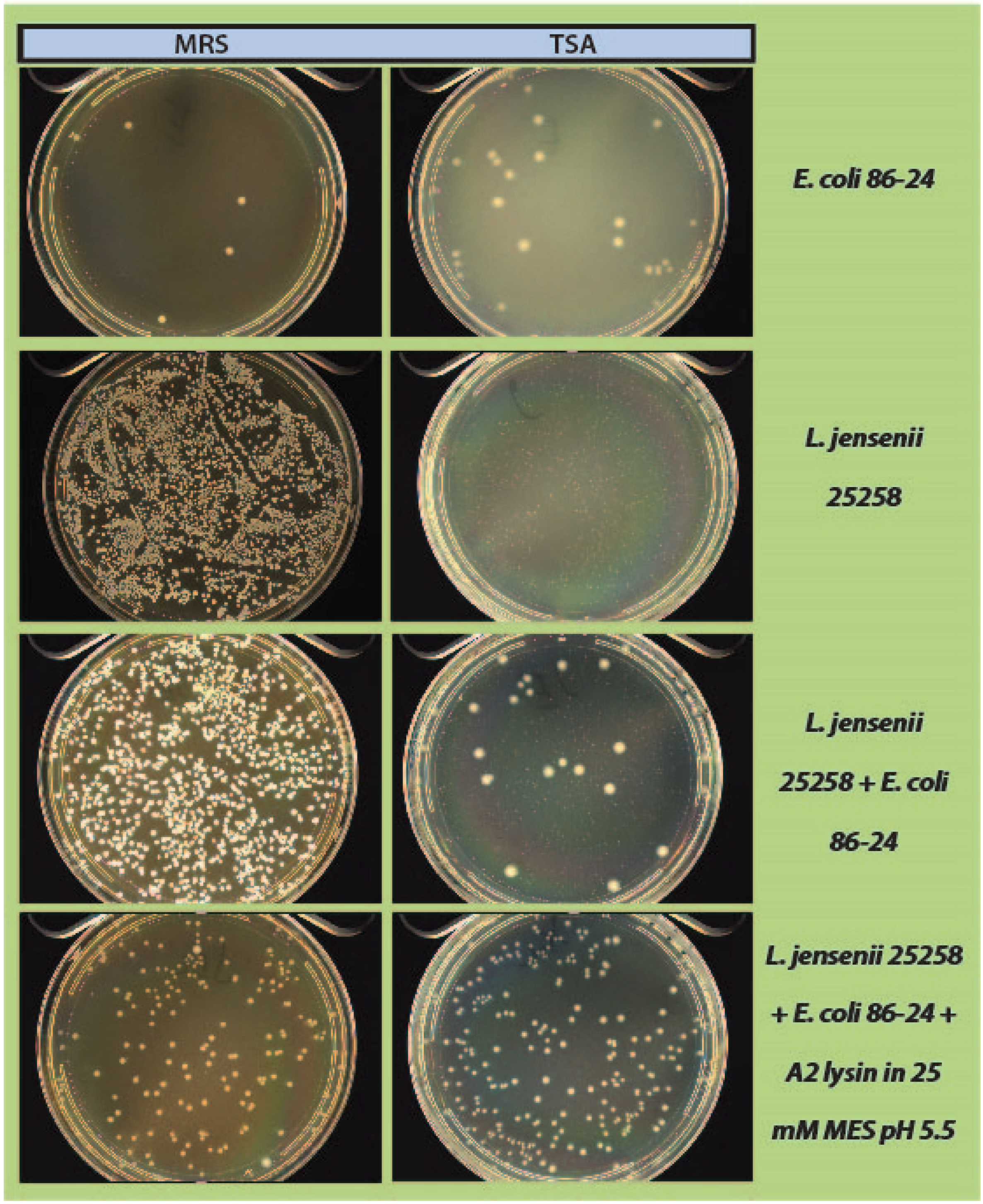 Viruses 07 02965 g005
