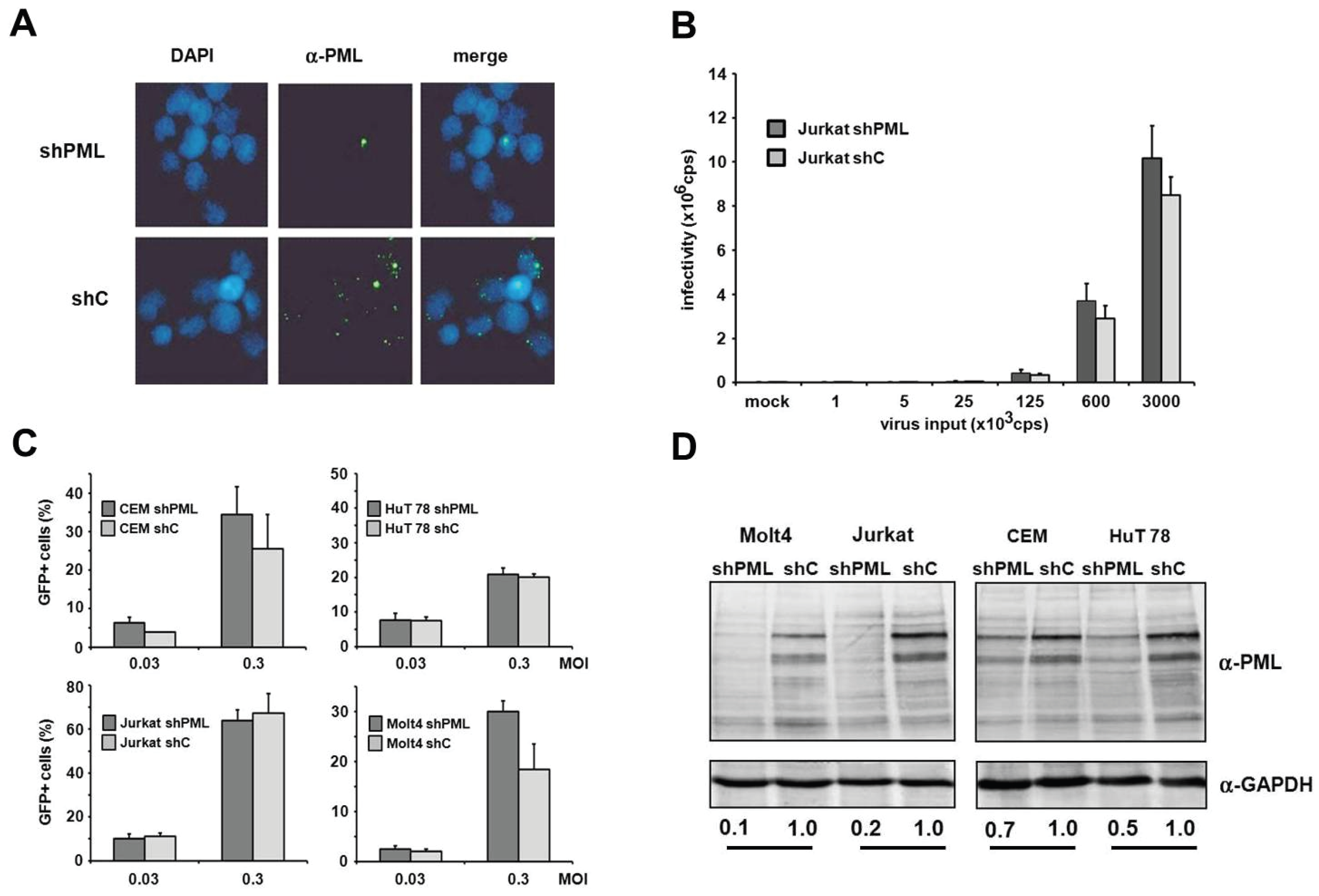 Viruses 08 00002 g005 1024
