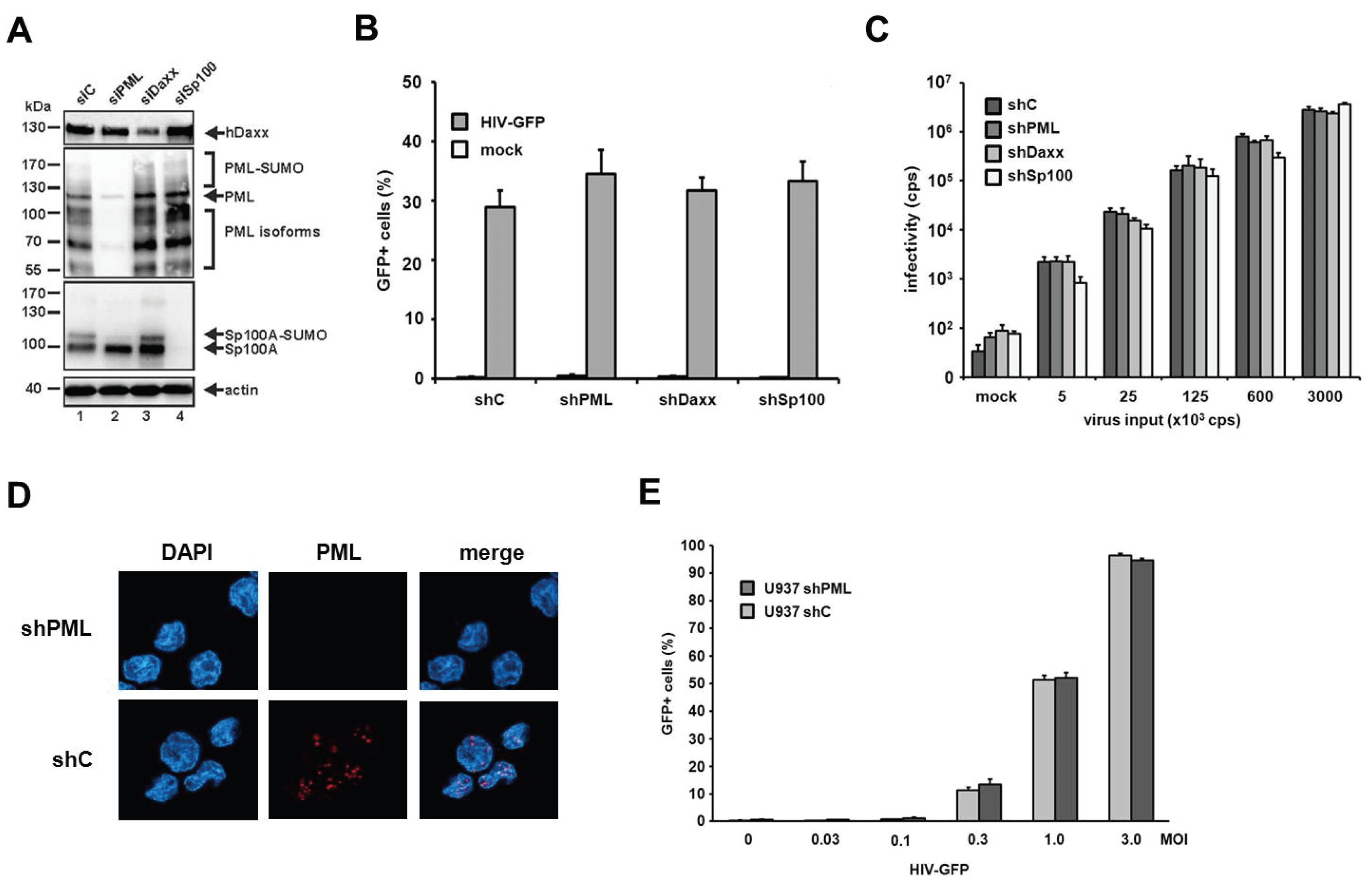Viruses 08 00002 g006 1024
