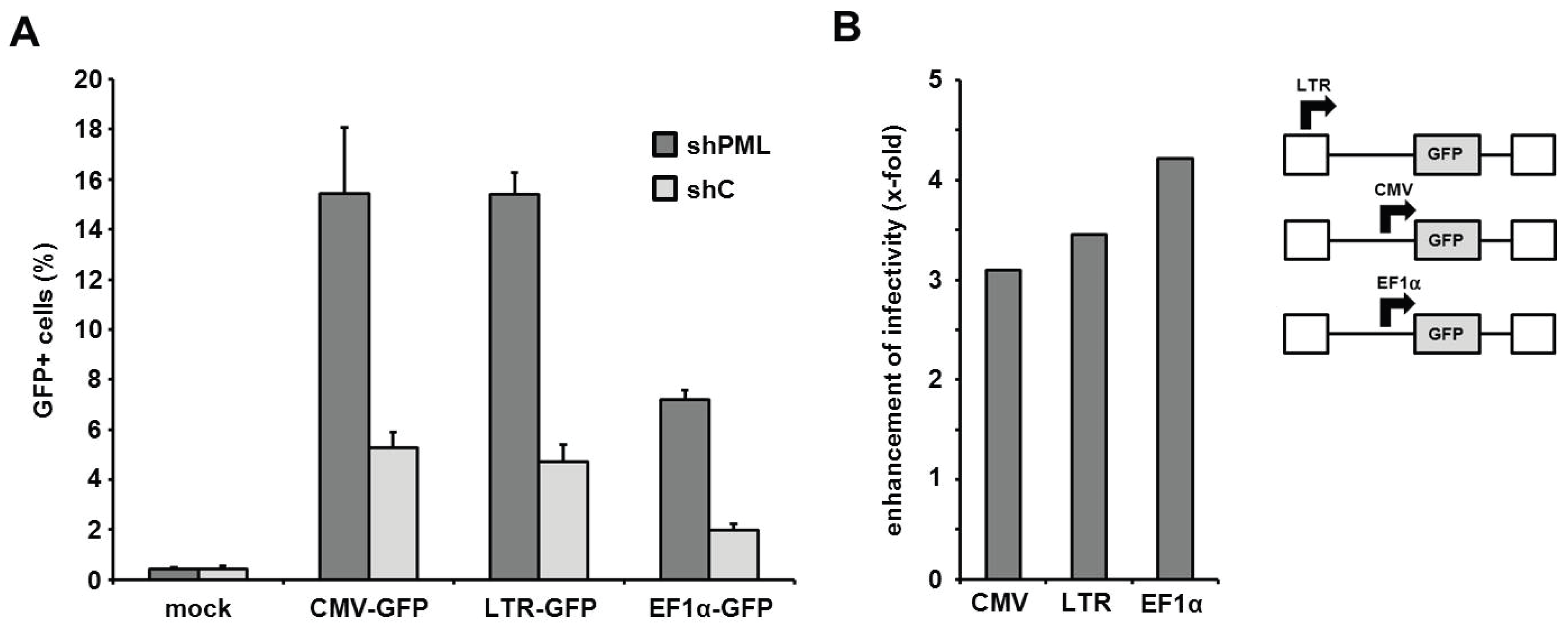 Viruses 08 00002 g007 1024
