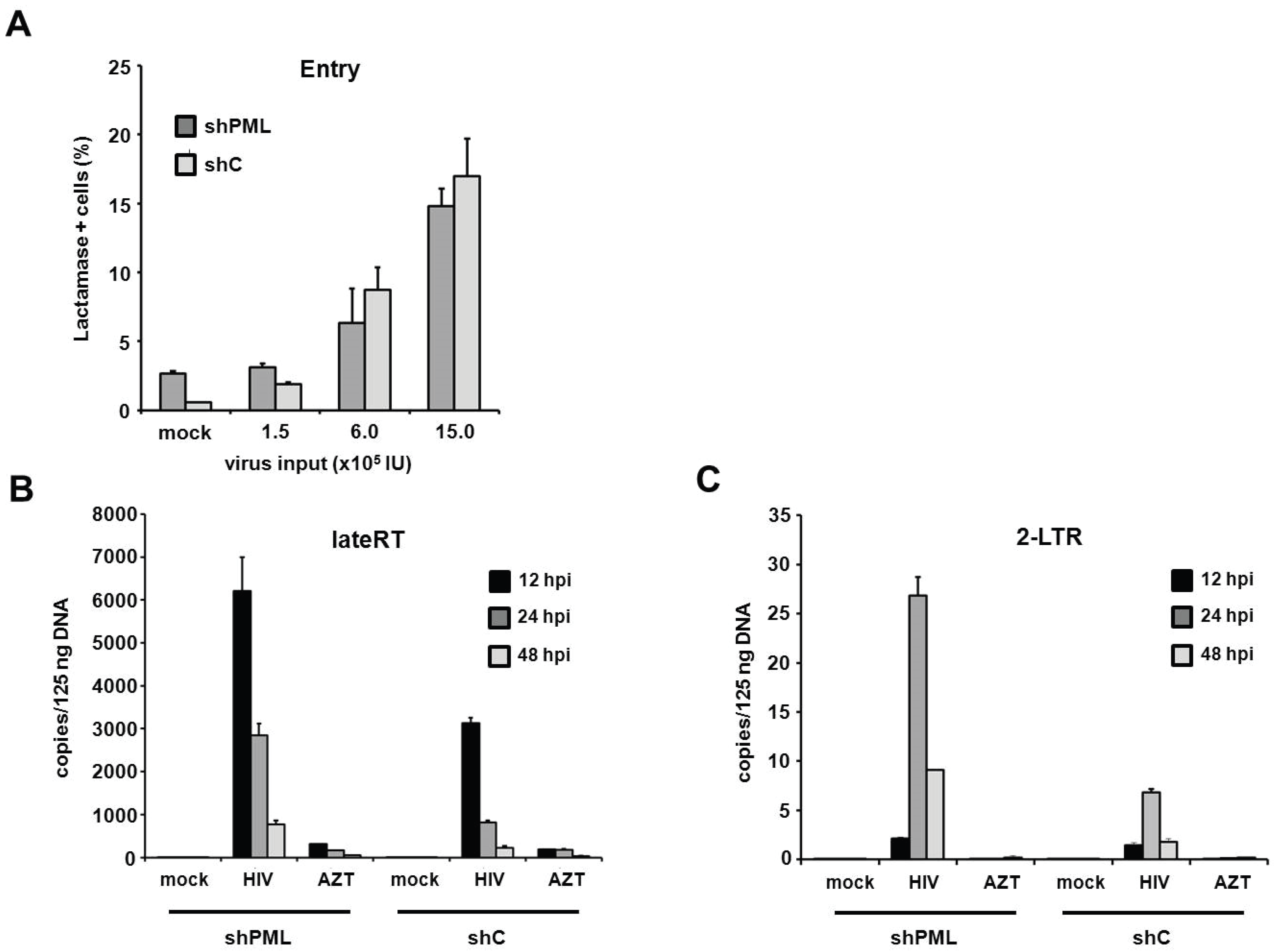 Viruses 08 00002 g008 1024