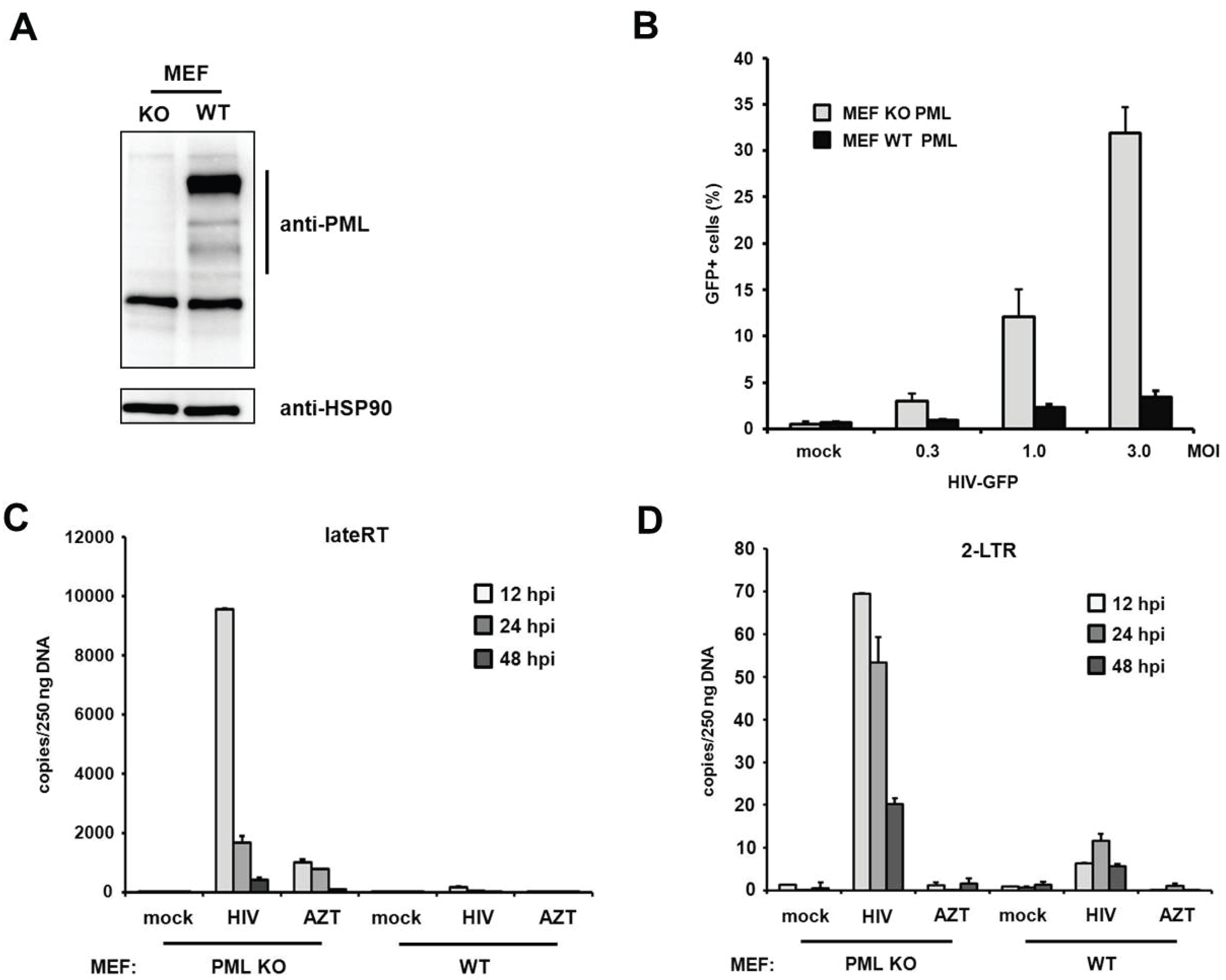 Viruses 08 00002 g009 1024