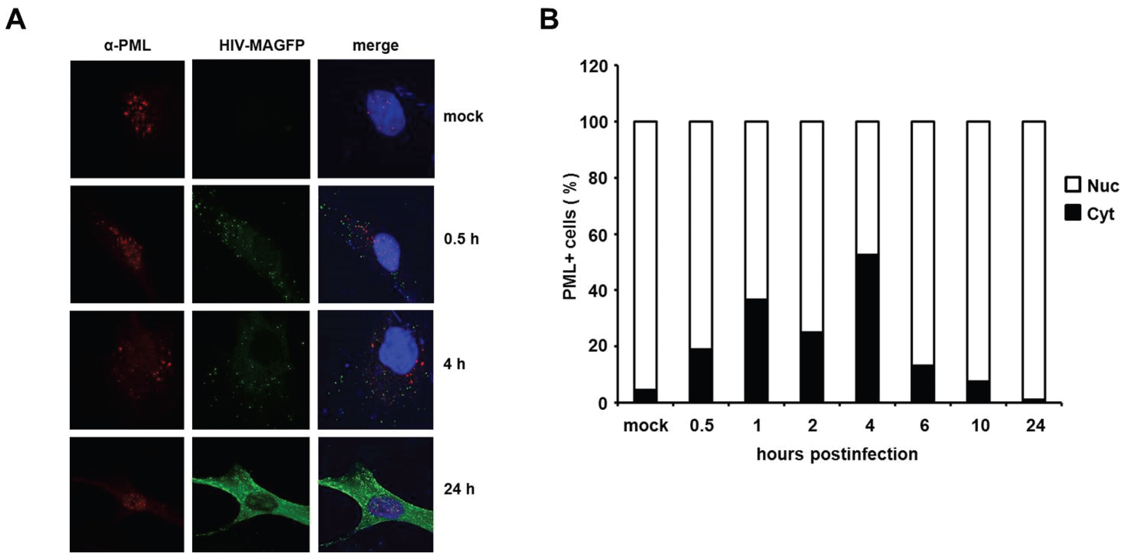 Viruses 08 00002 g010 1024