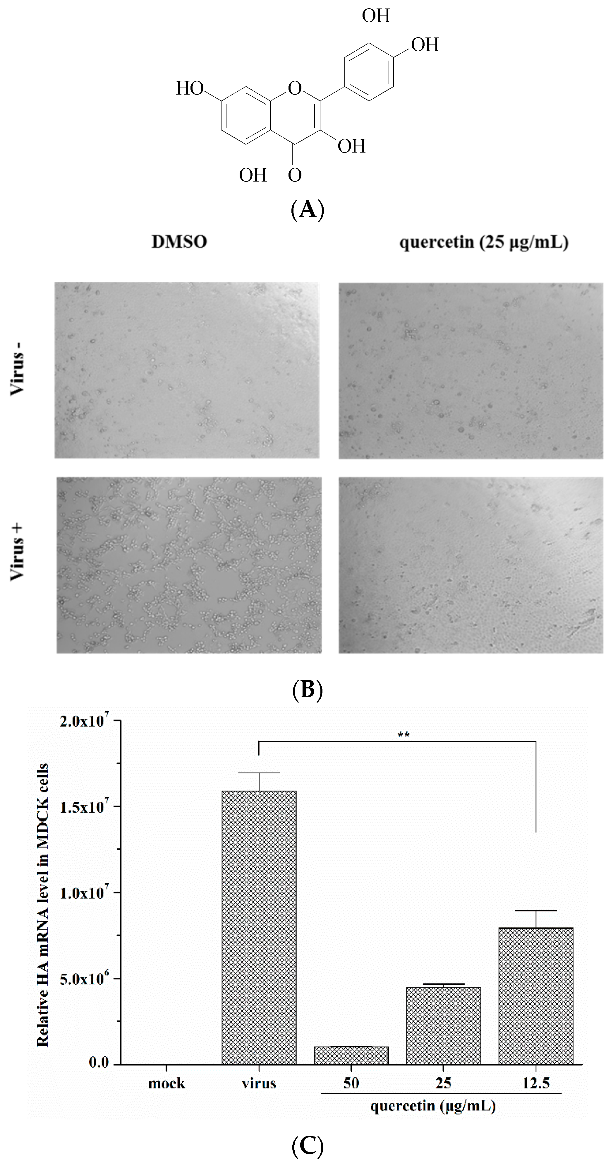 Viruses 08 00006 g001a