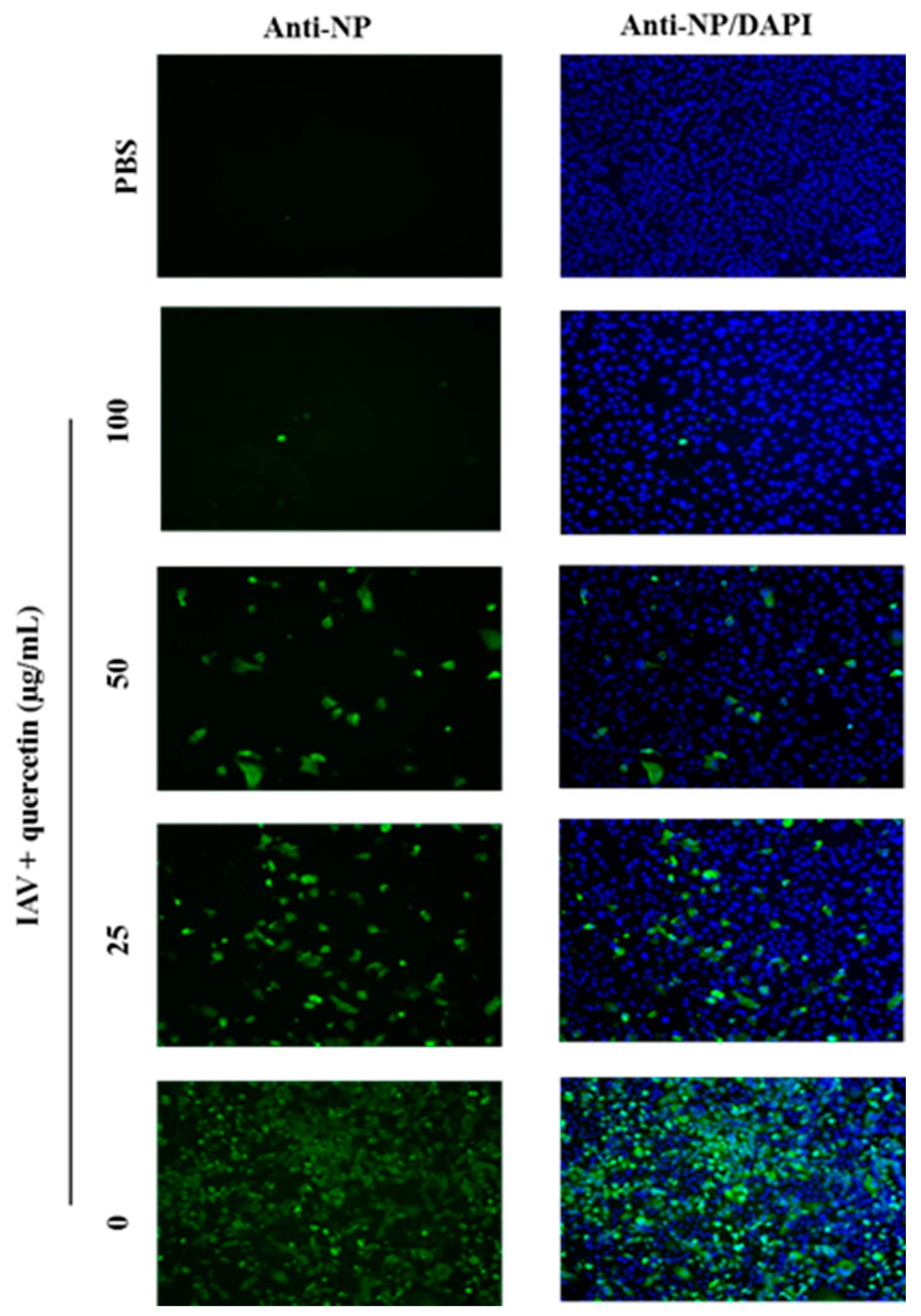 Viruses 08 00006 g002