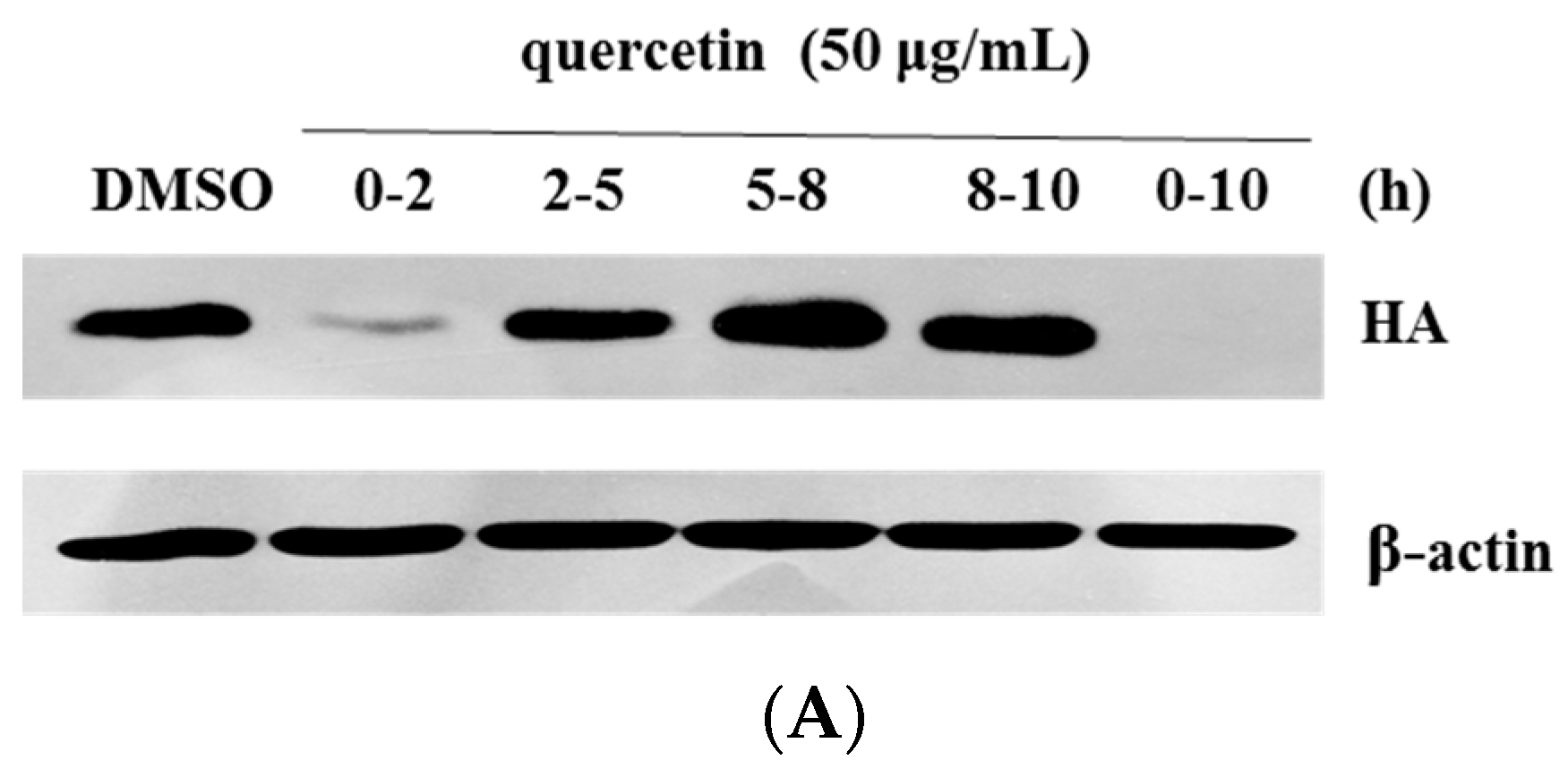 Viruses 08 00006 g003a