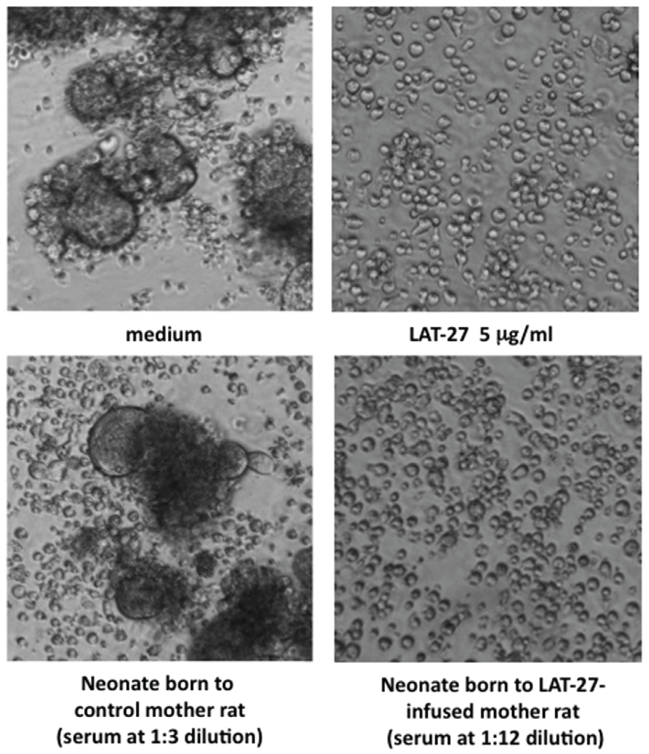 Viruses 08 00041 g001 1024