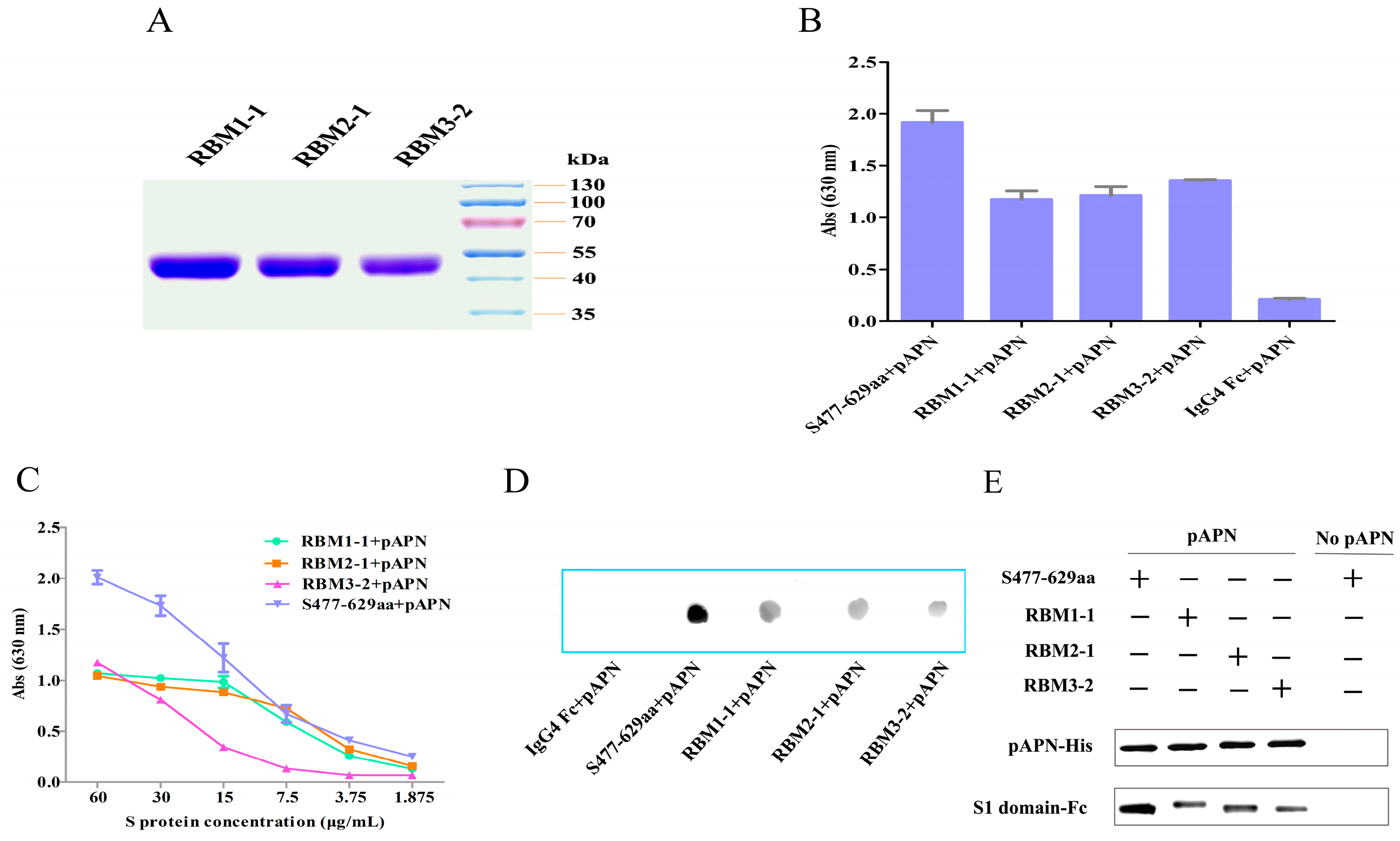 Viruses 08 00055 g005 1024