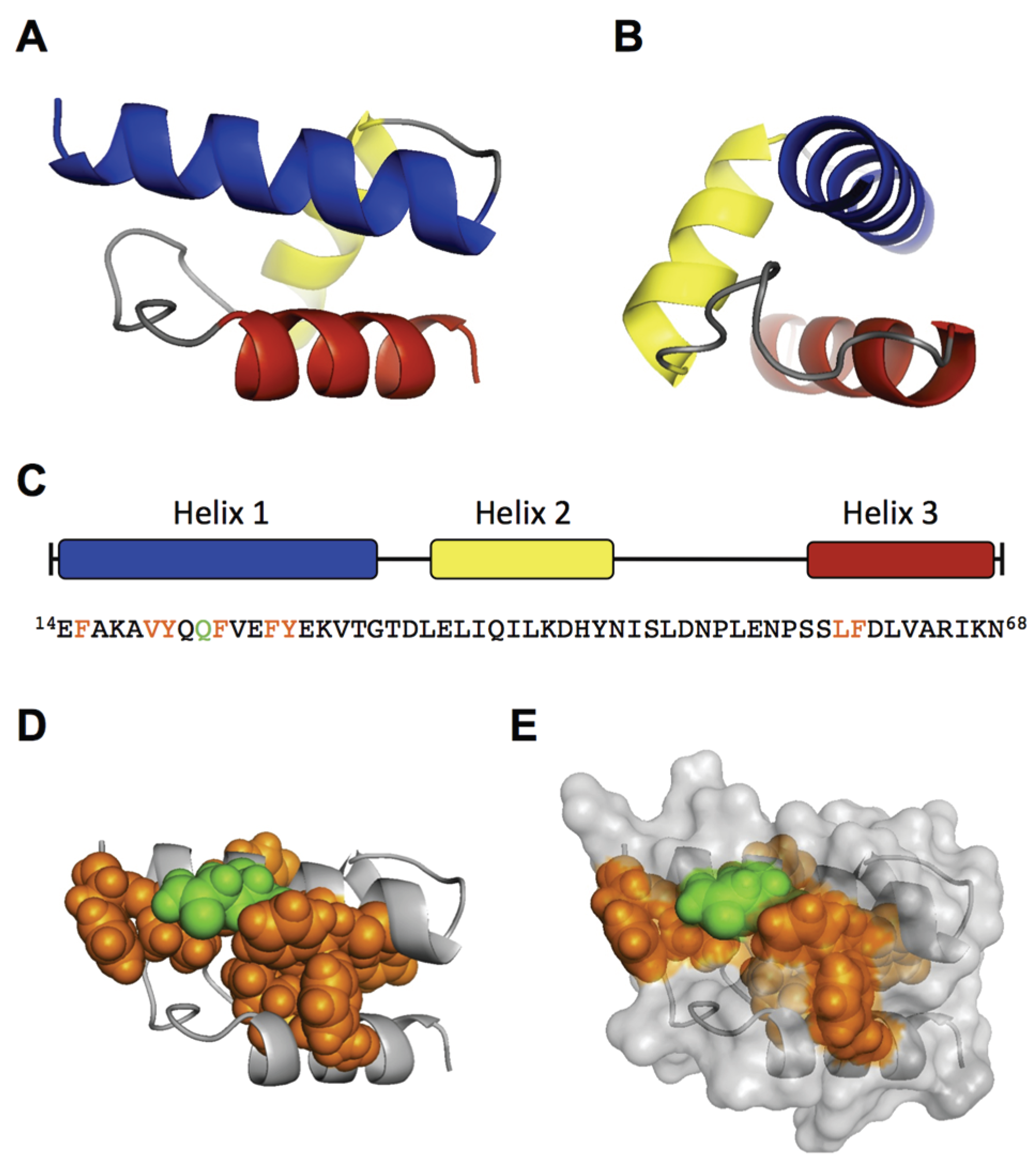 Viruses 08 00061 g003 1024