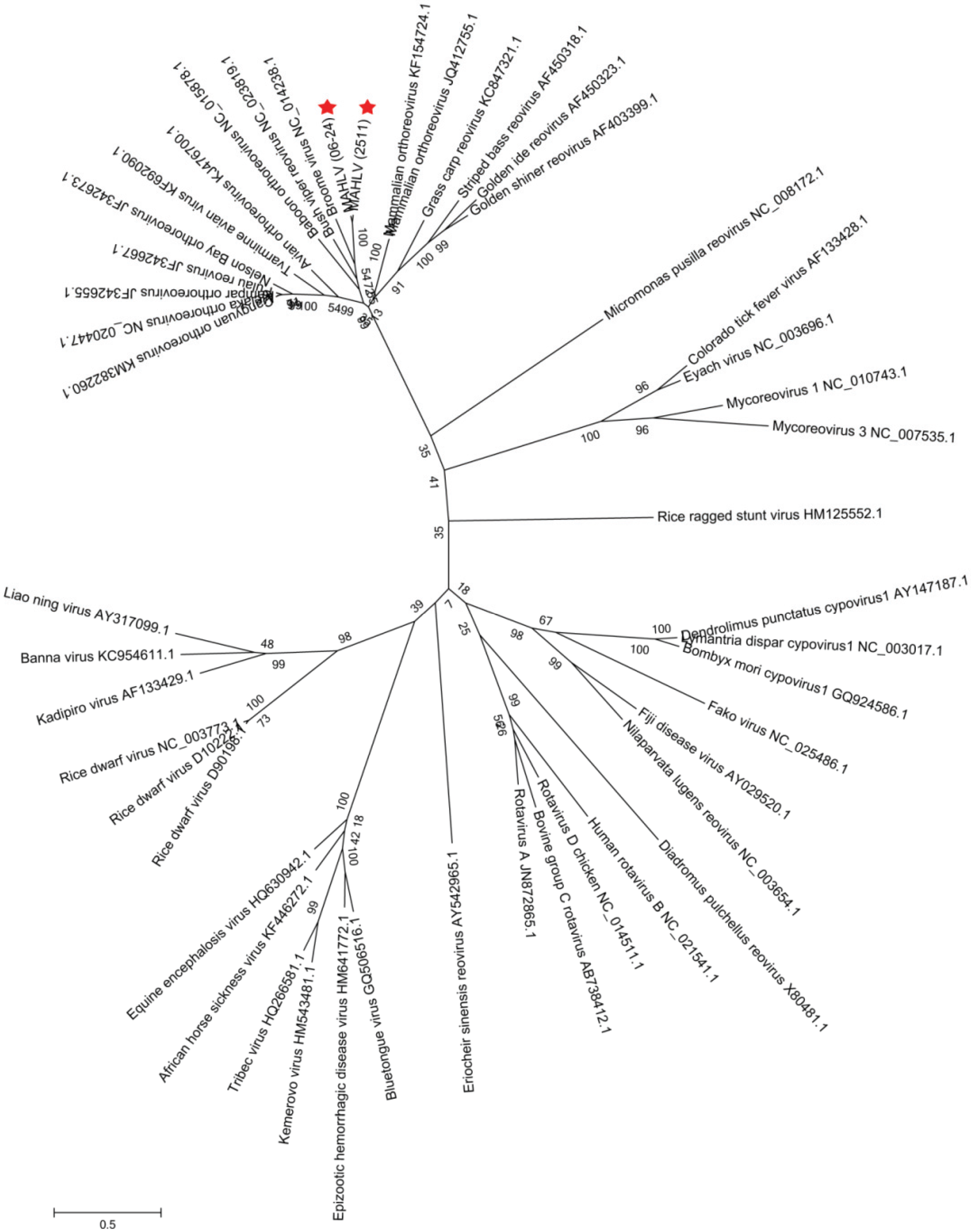 Viruses 08 00065 g007