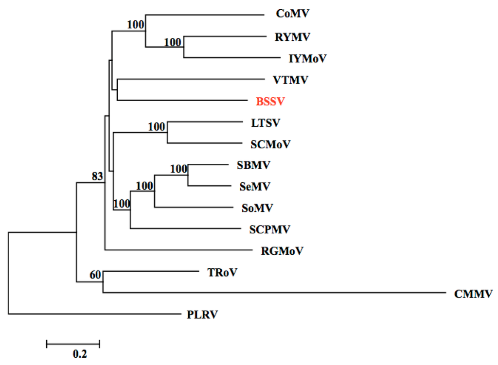 viruses free full text combined decs analysis and next