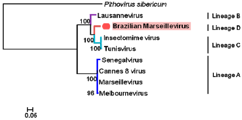 Viruses 08 00076 g006 1024