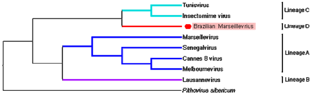 Viruses 08 00076 g007 1024