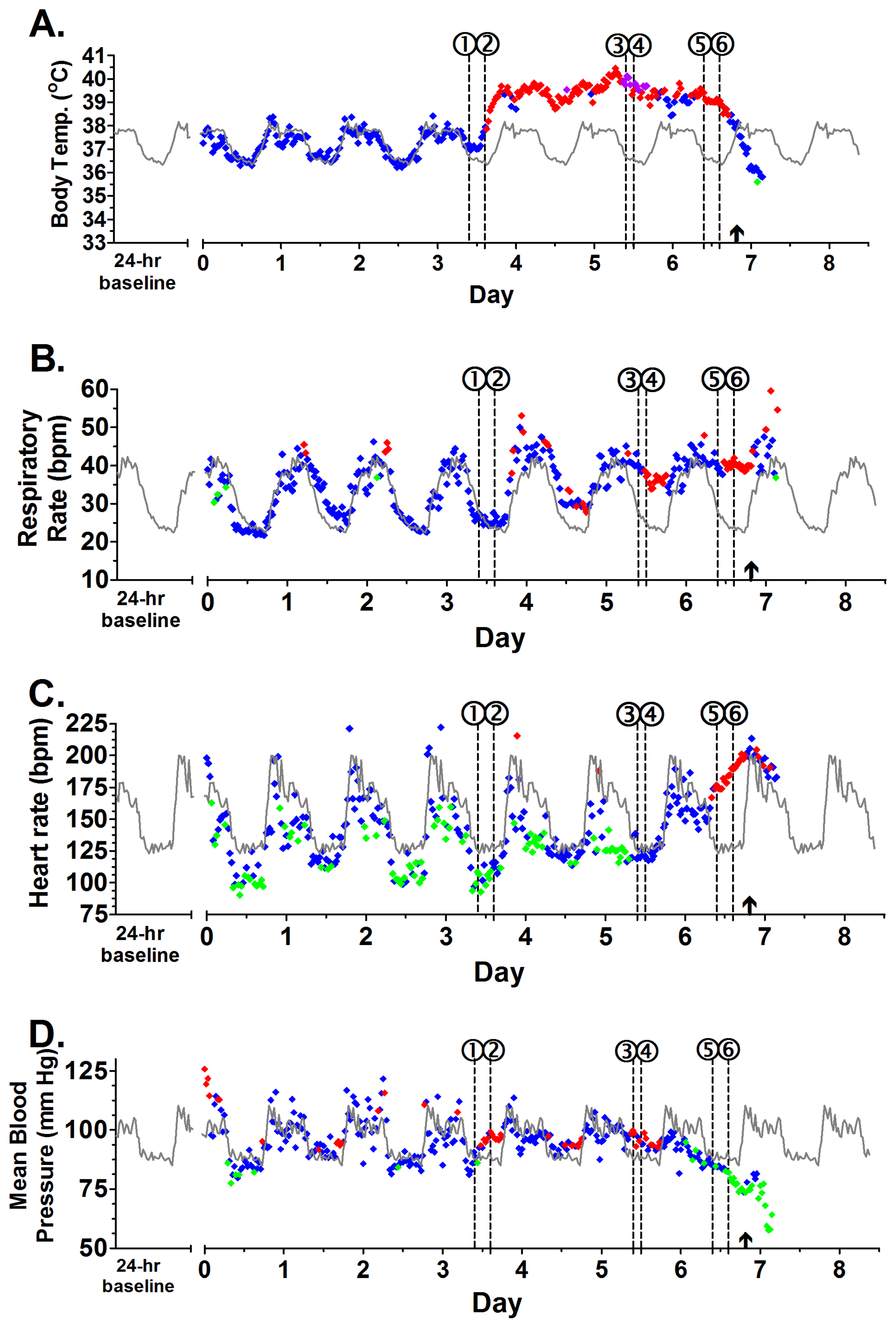 Viruses 08 00087 g001