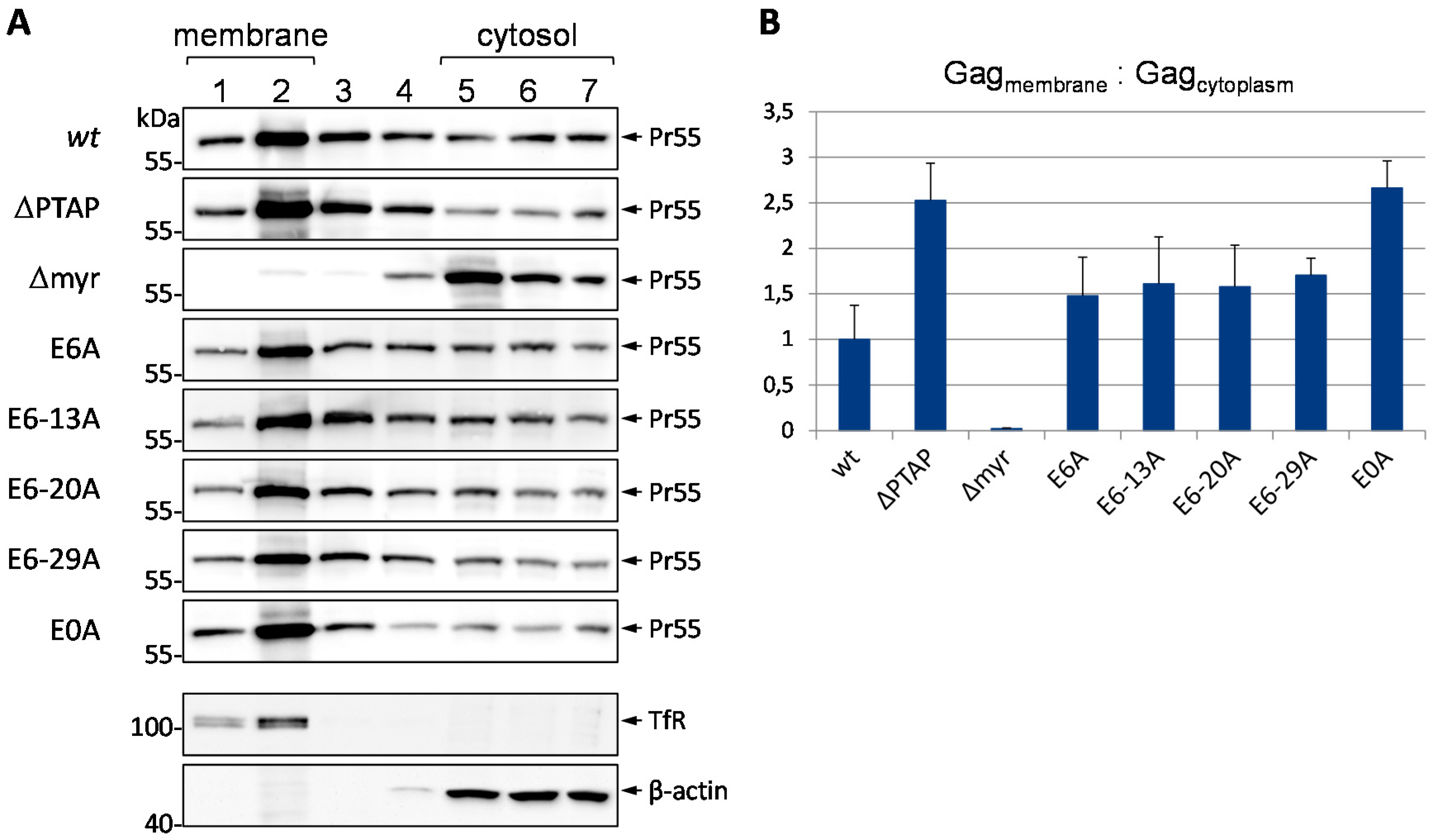 Viruses 08 00117 g009