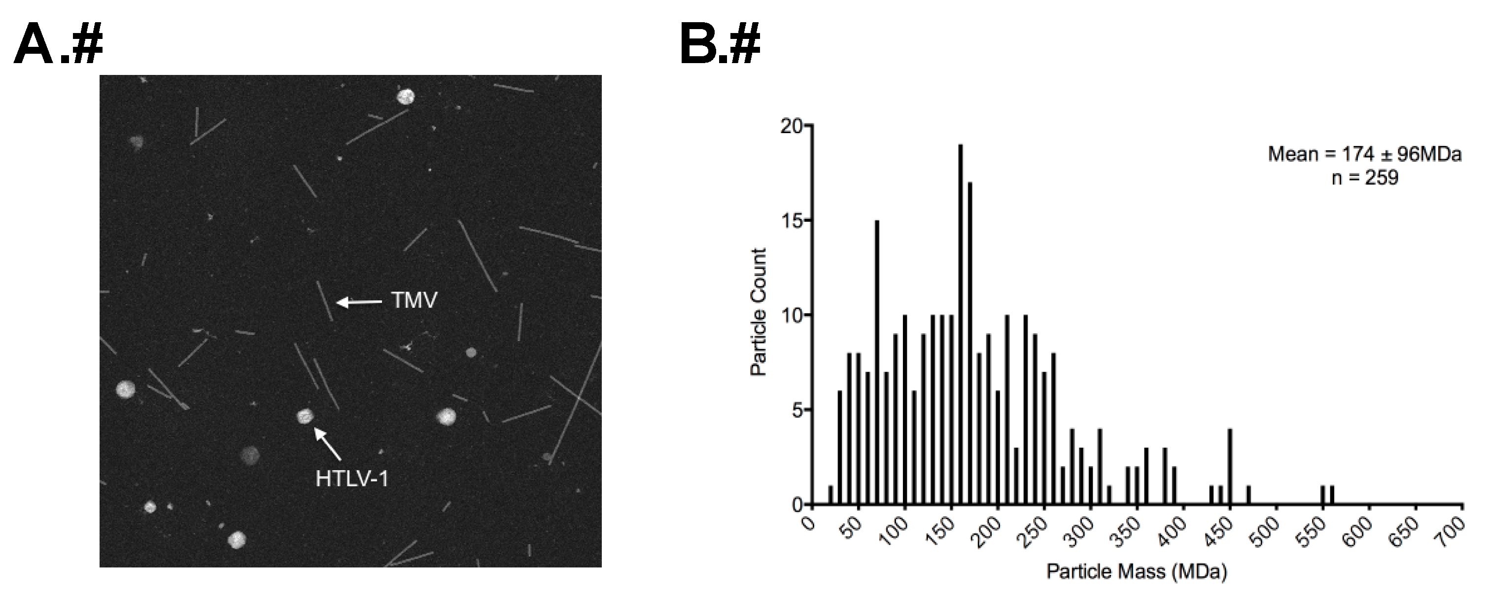 Viruses 08 00132 g004