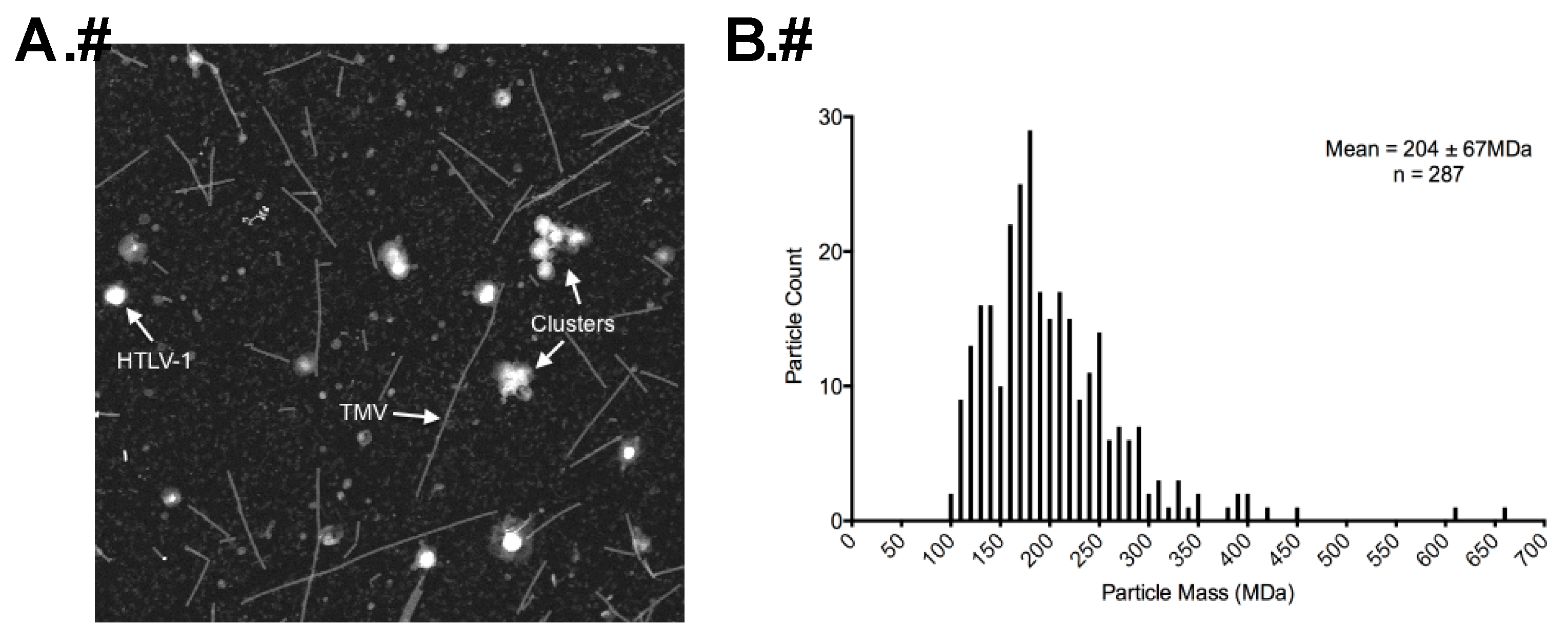 Viruses 08 00132 g005