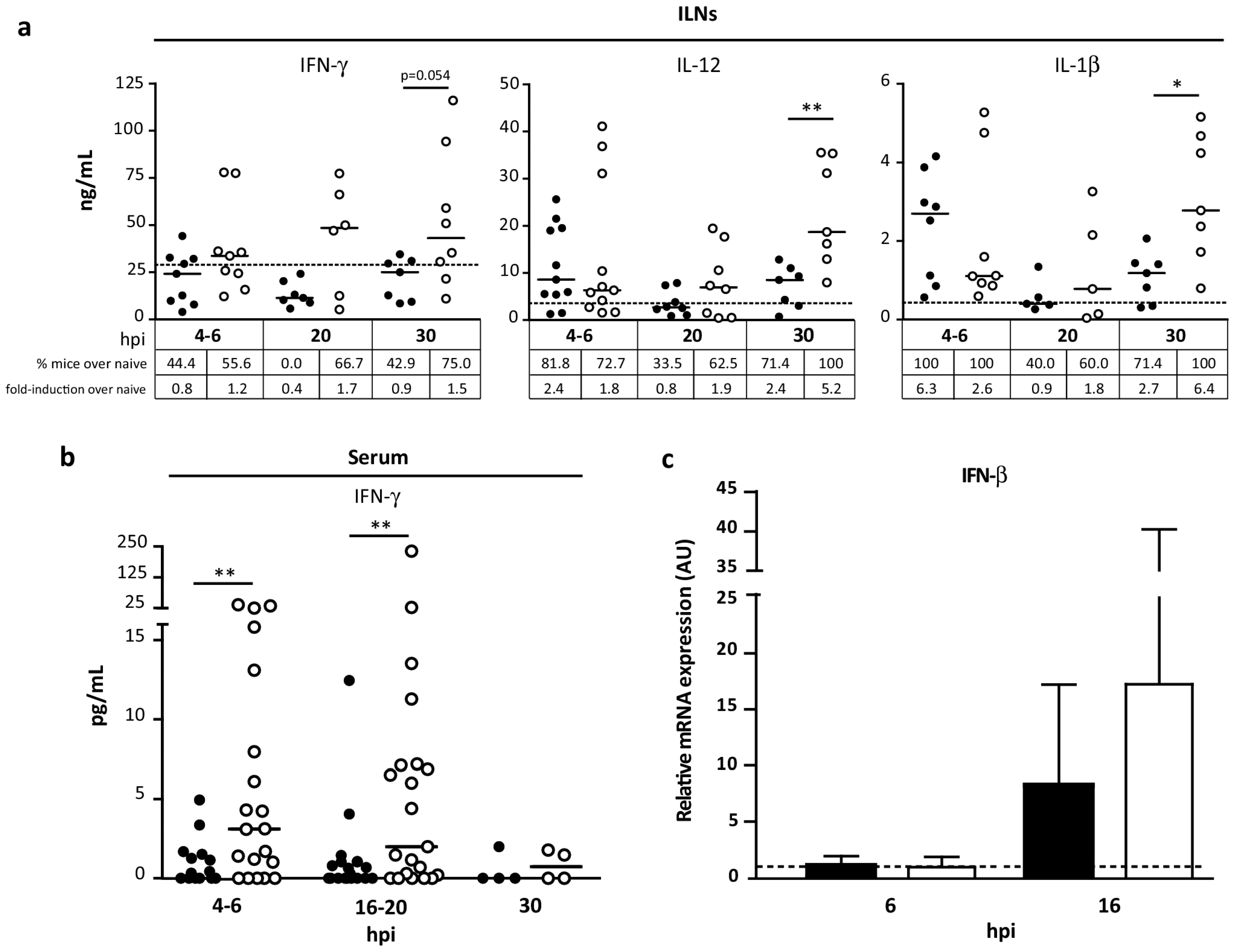 Viruses 08 00139 g008