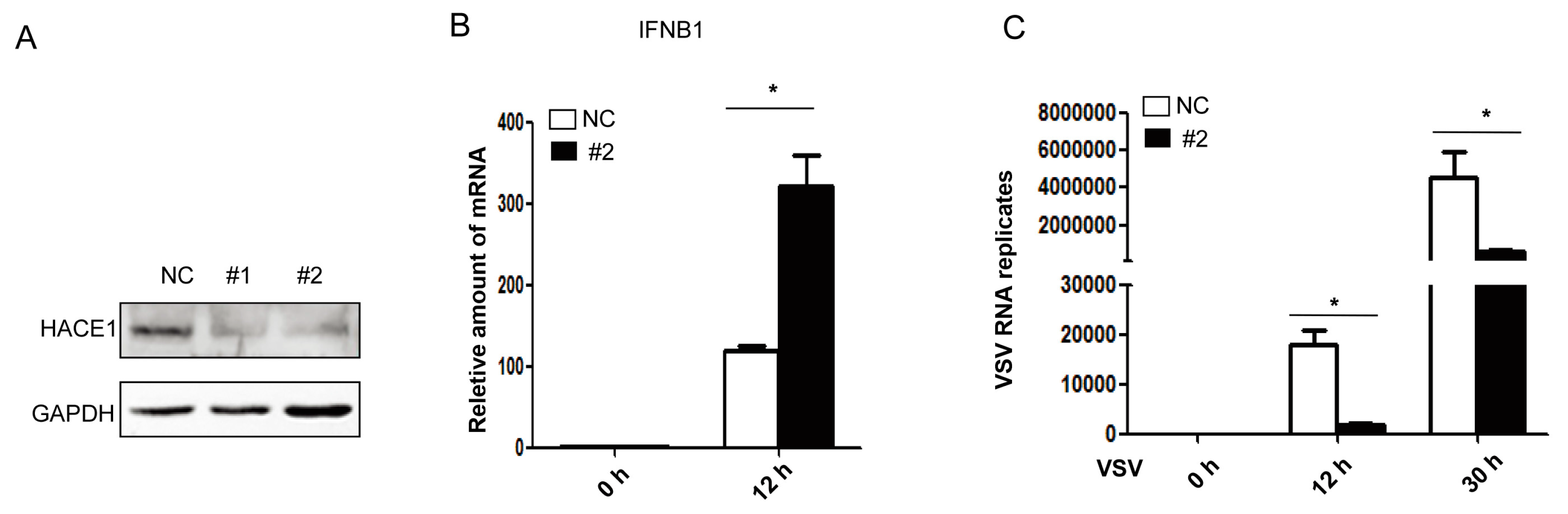 Viruses 08 00146 g002 1024