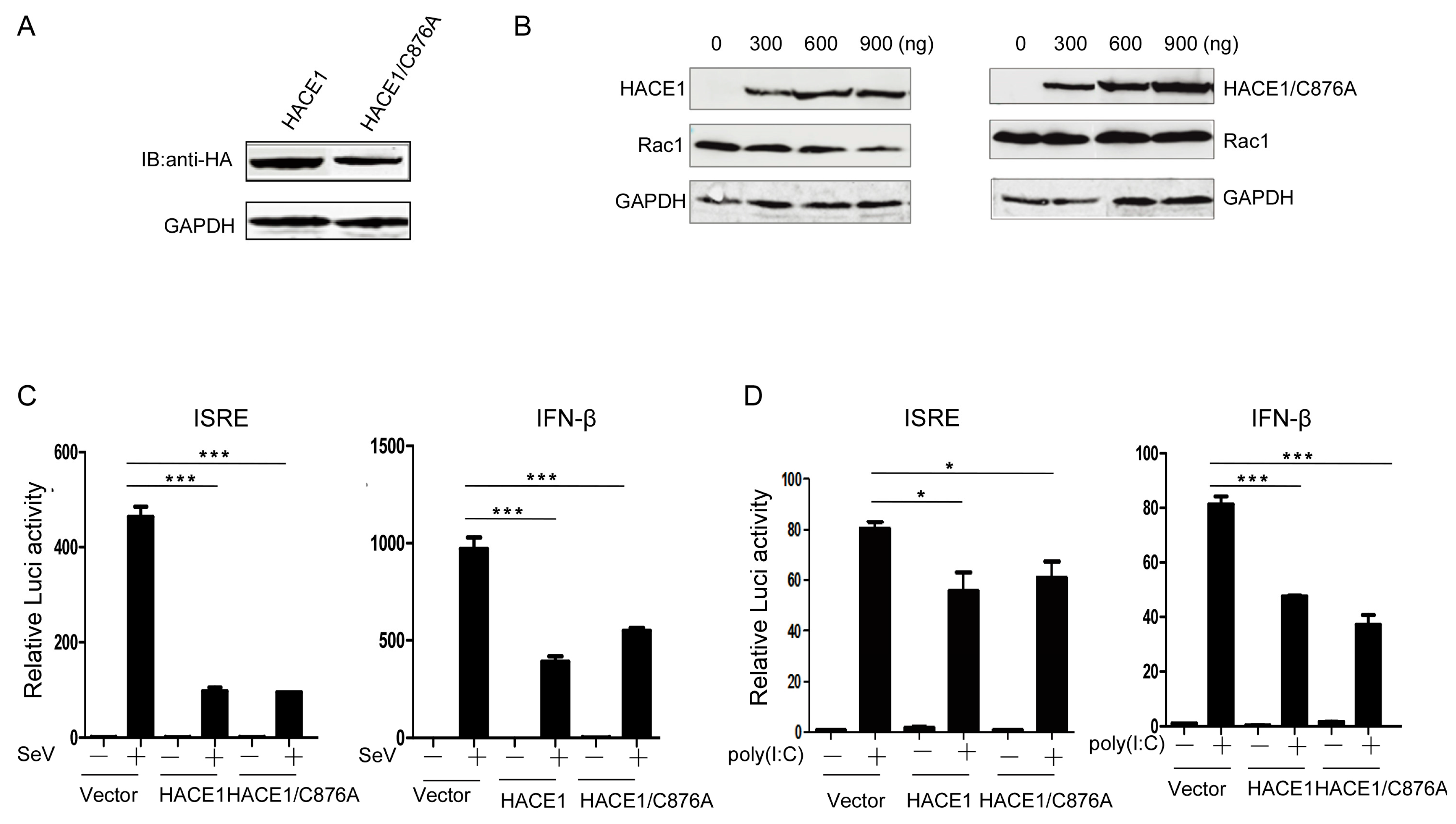 Viruses 08 00146 g003 1024