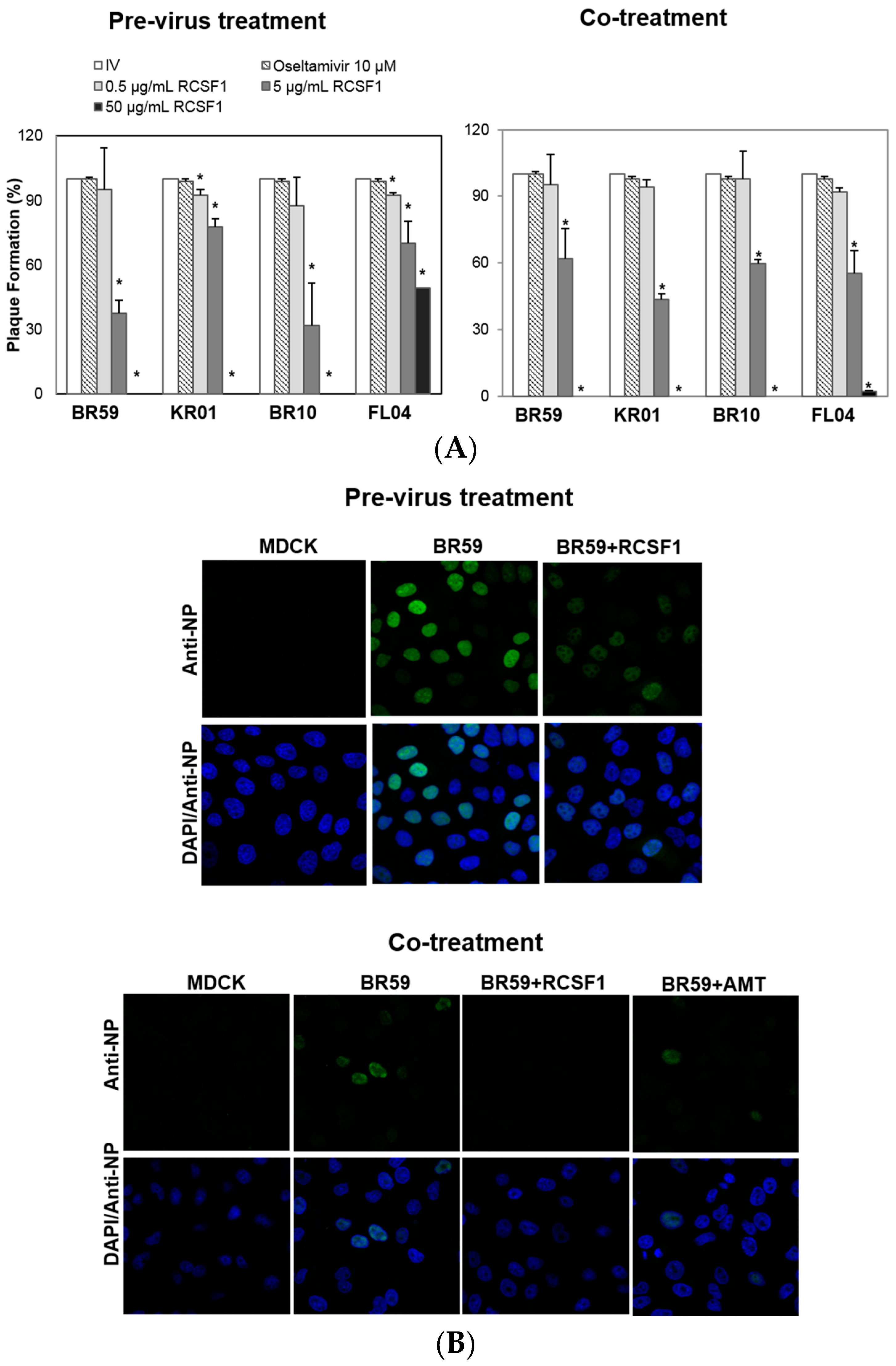 Viruses 08 00157 g001