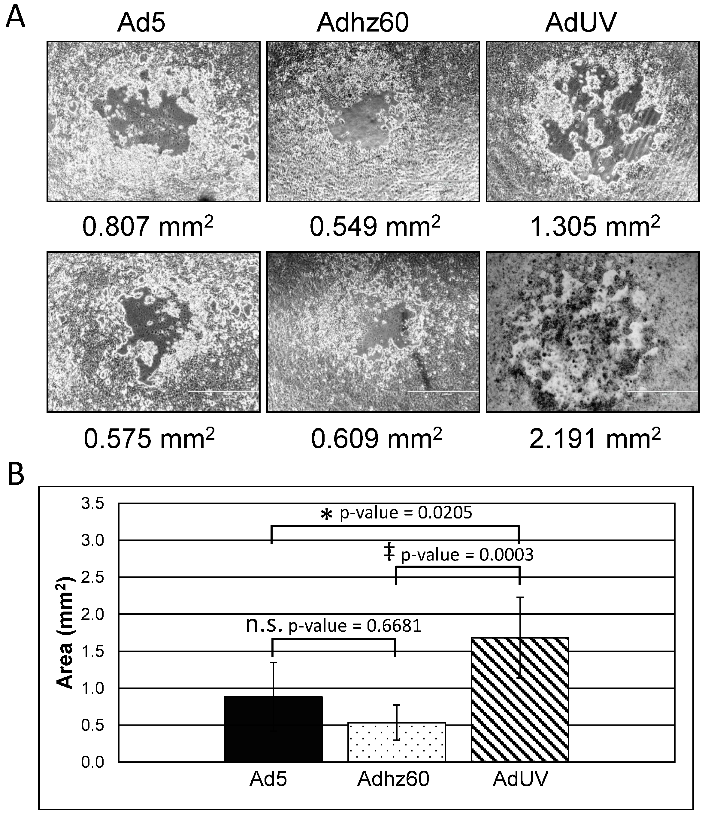 Viruses 08 00167 g003 1024